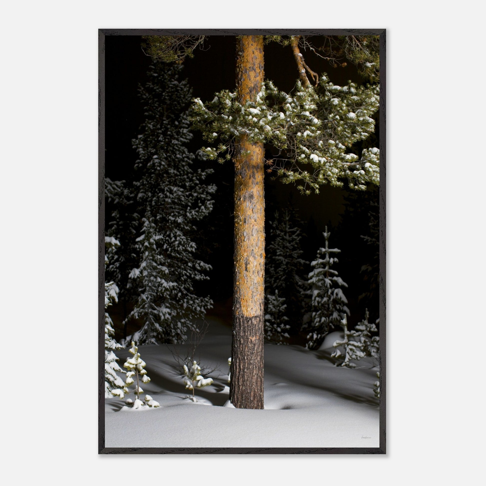 dc5186b6-719c-4d37-96cd-a67770d4f546