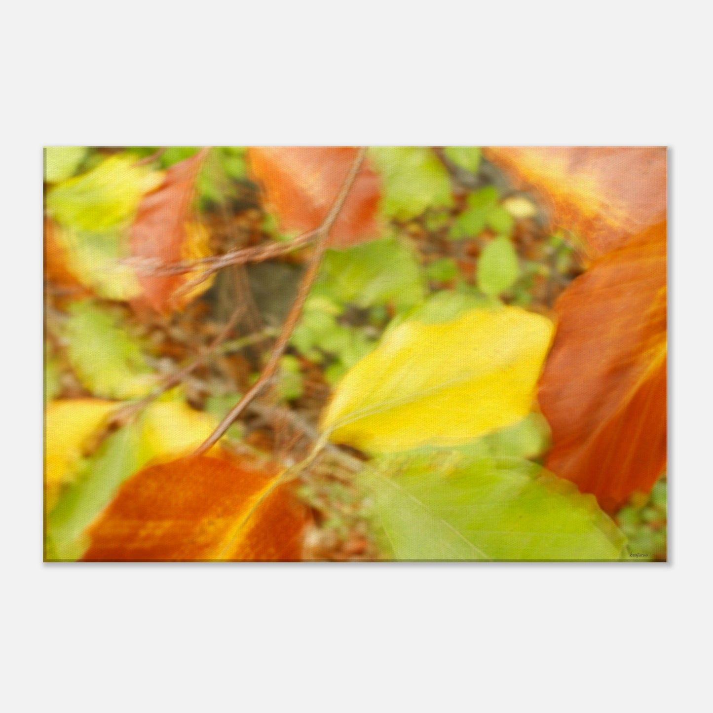 dc887299-6791-432f-b6f1-534026d43328