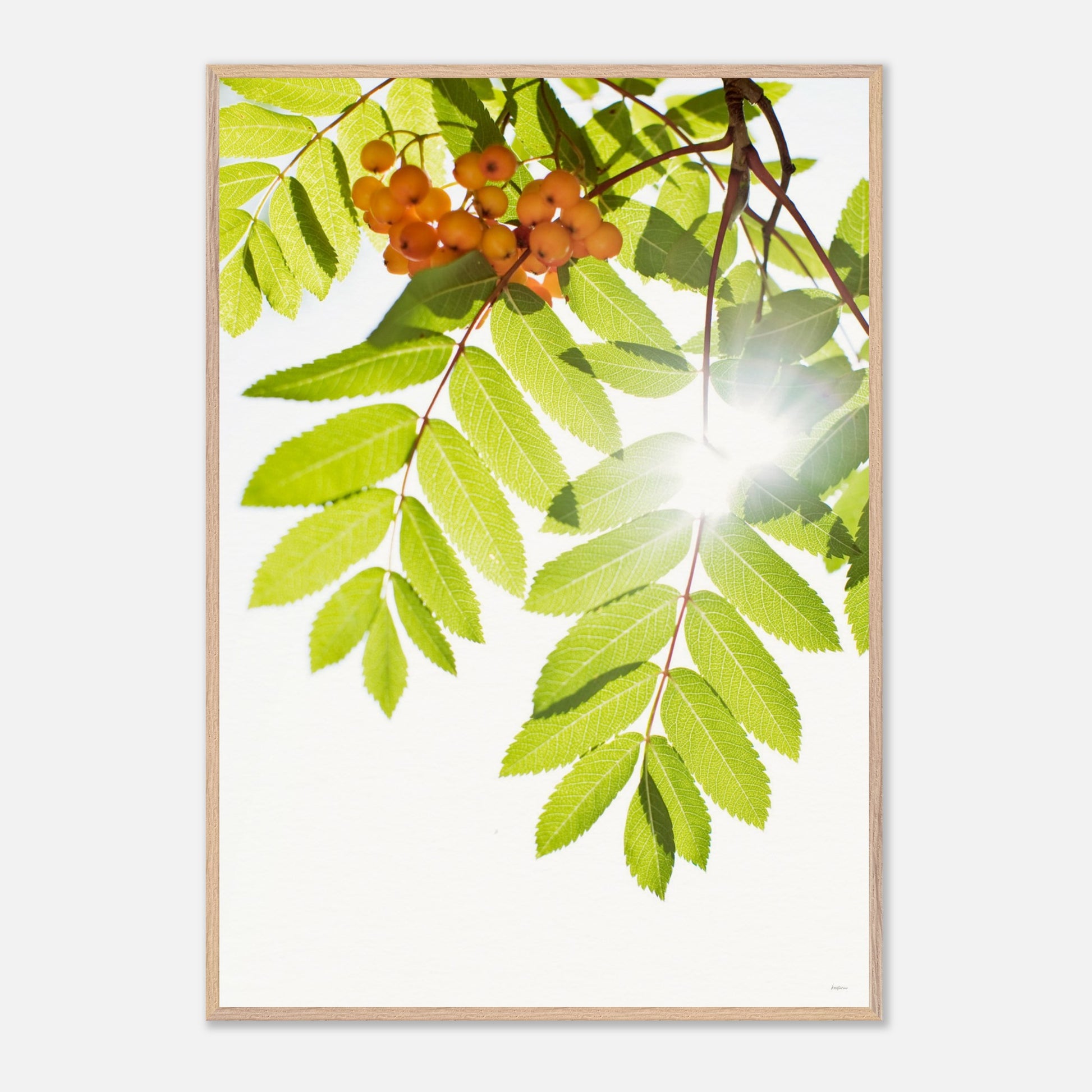 dcb69606-9490-494c-bda8-6013737bf8c0