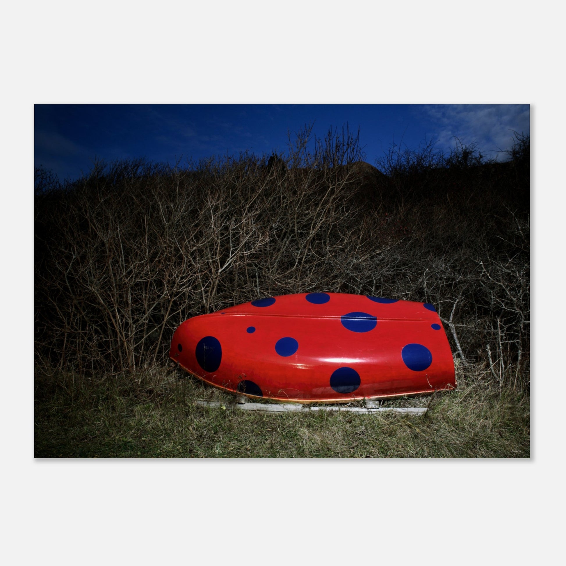 dde5c3a6-e039-4e7e-a7d2-ed761672f5b1