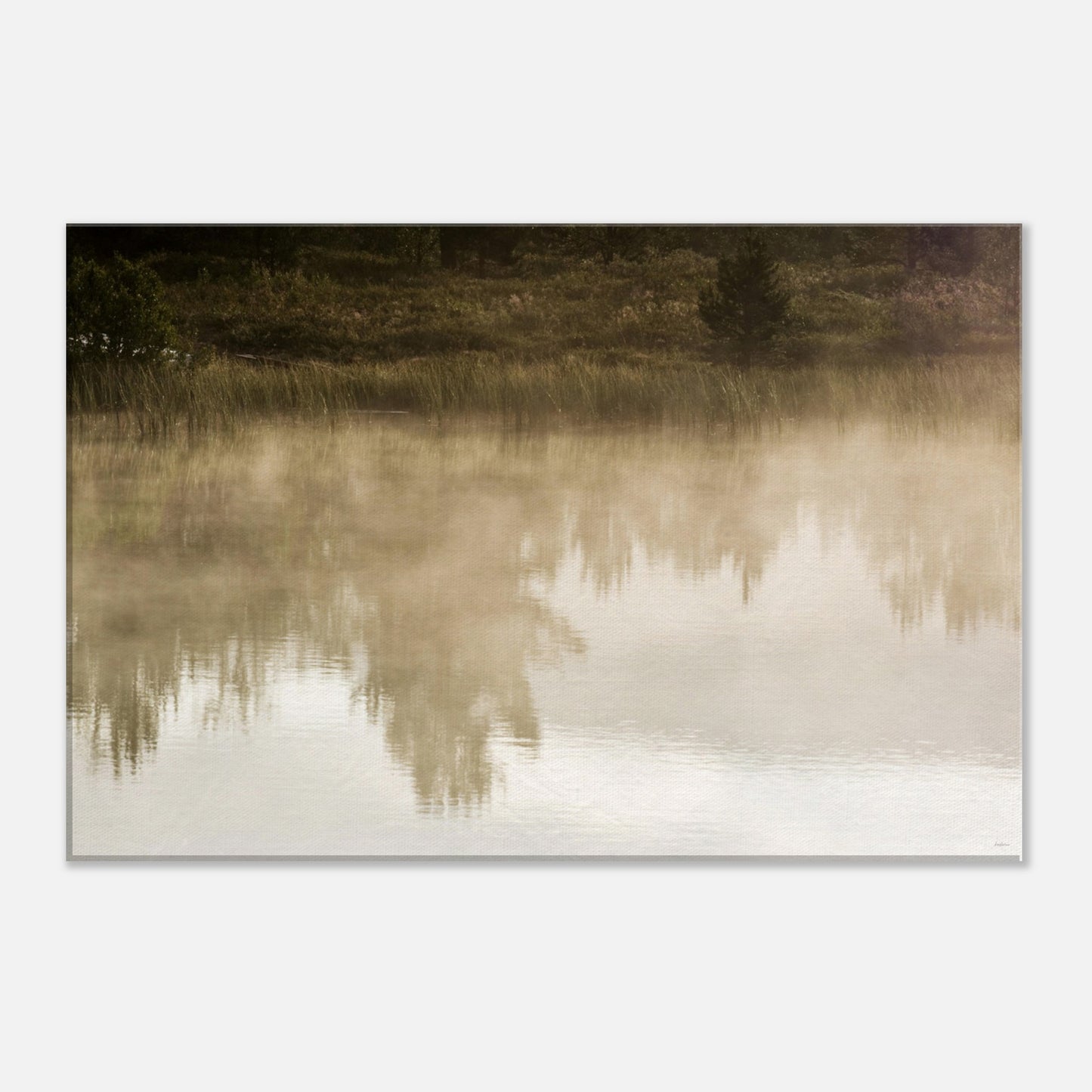 ddea3f2a-0a0b-4895-9721-6a2c0639b824