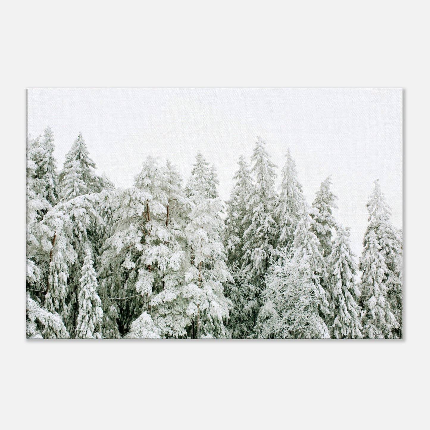 df55aa2e-258a-40fc-904a-823d01c4ed74