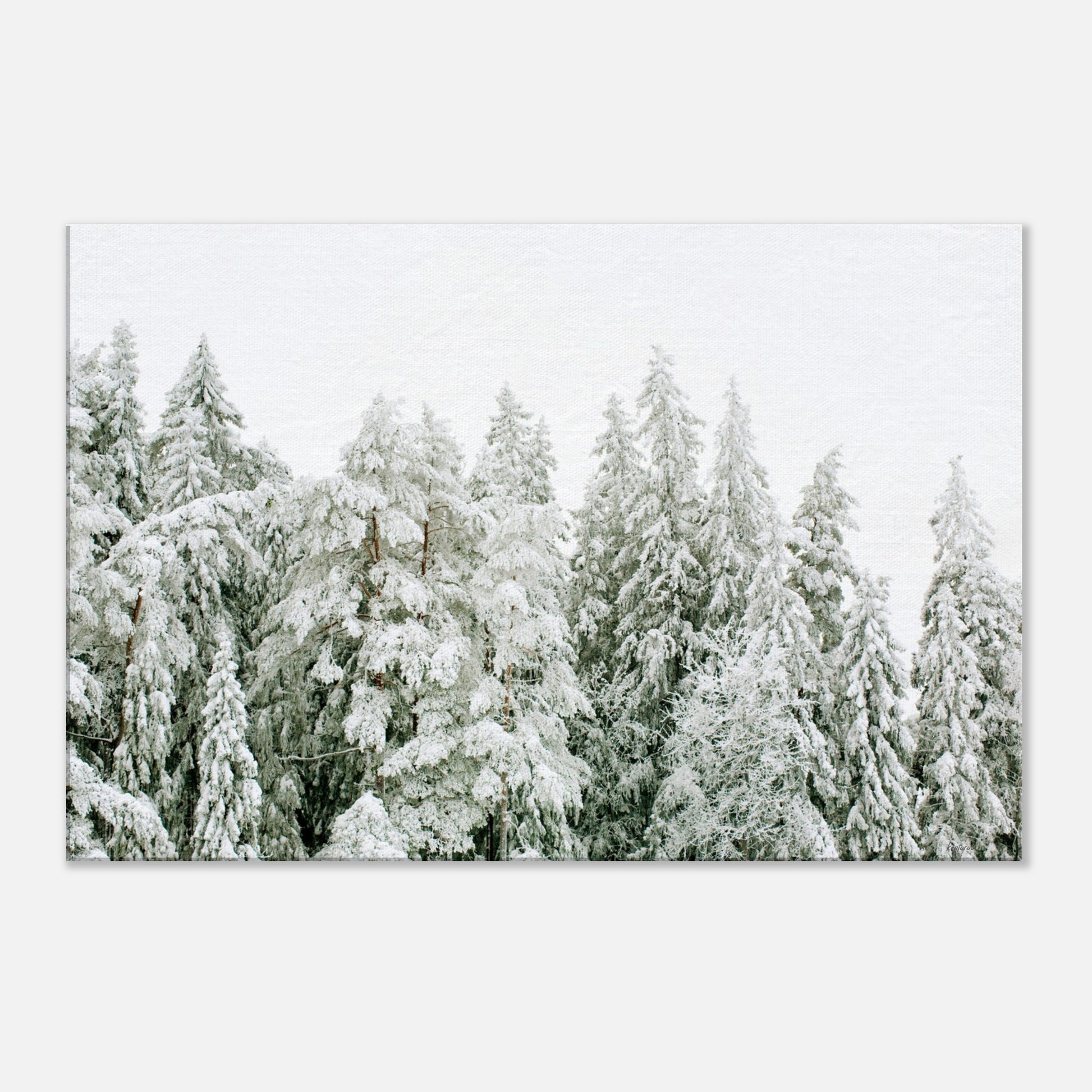 df55aa2e-258a-40fc-904a-823d01c4ed74