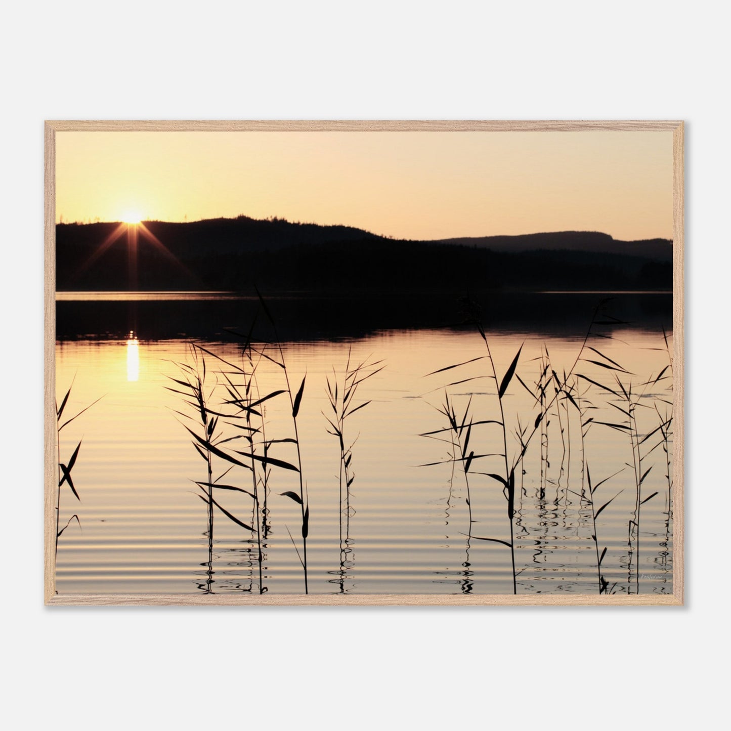 df70b738-5a94-4887-aaeb-78d267a8802b