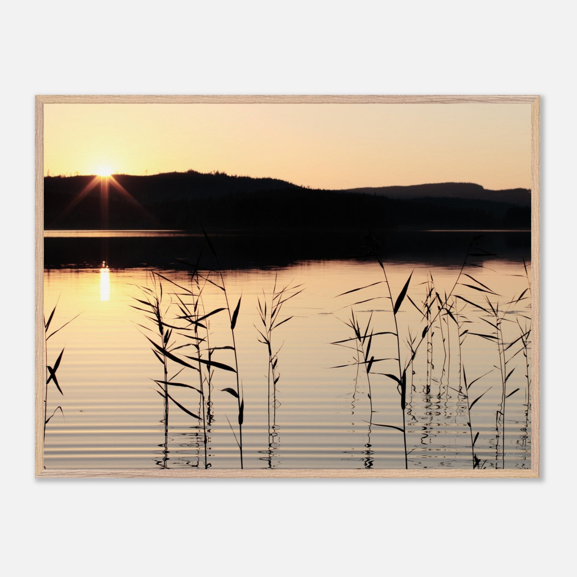 df70b738-5a94-4887-aaeb-78d267a8802b