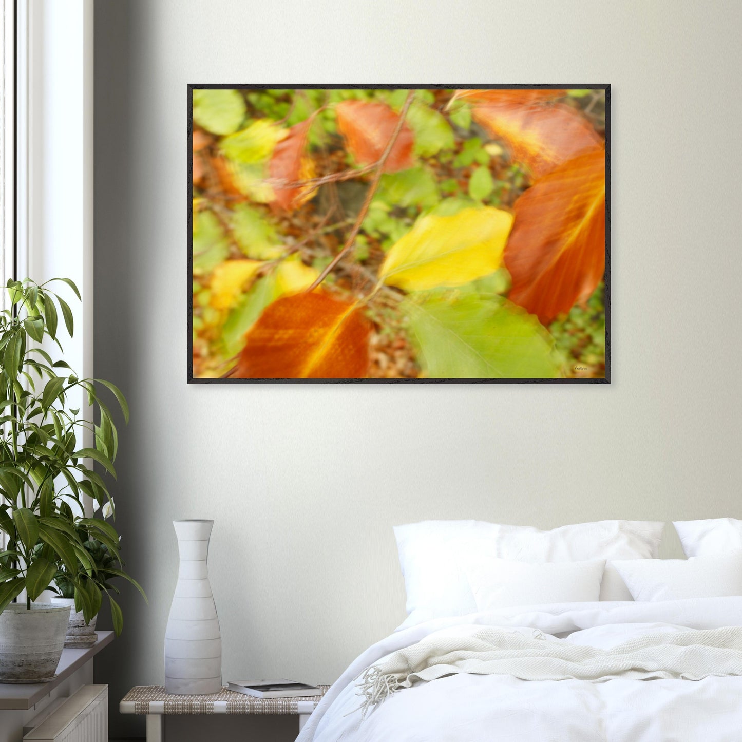 e1e96311-f68c-4920-9c6e-e6789f5b2170