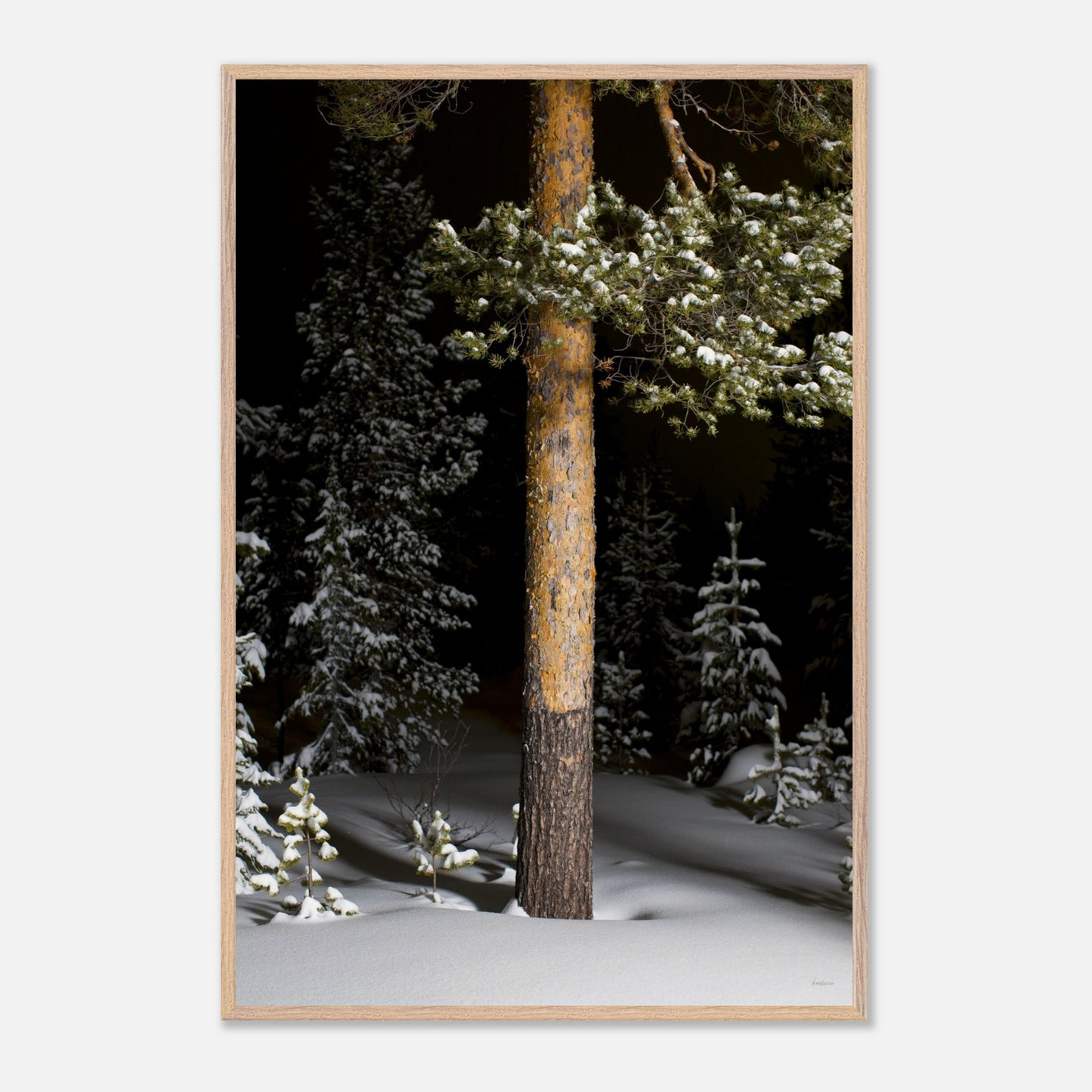 e236f598-fc20-4ac8-b08b-3c848f5b0ba2