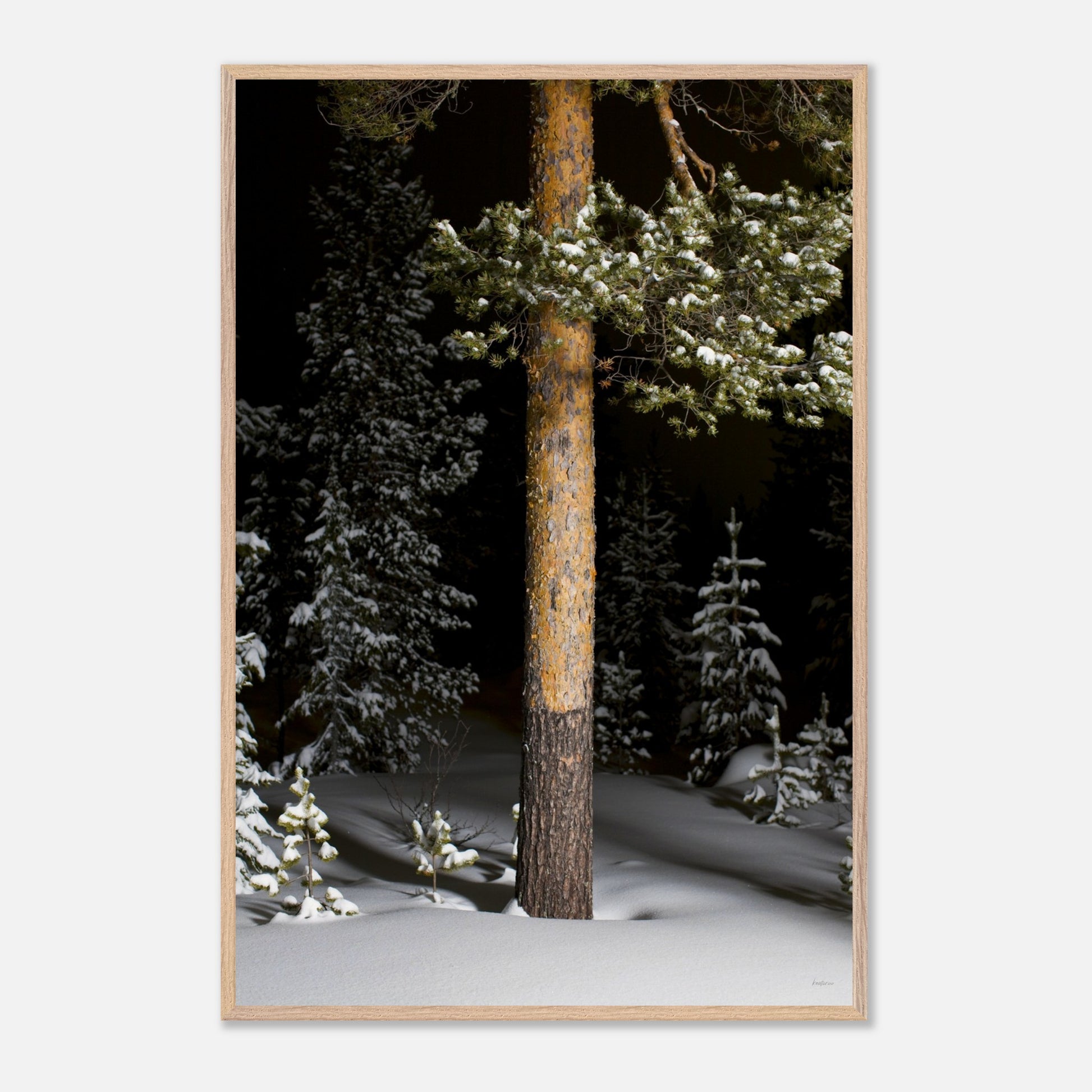 e236f598-fc20-4ac8-b08b-3c848f5b0ba2