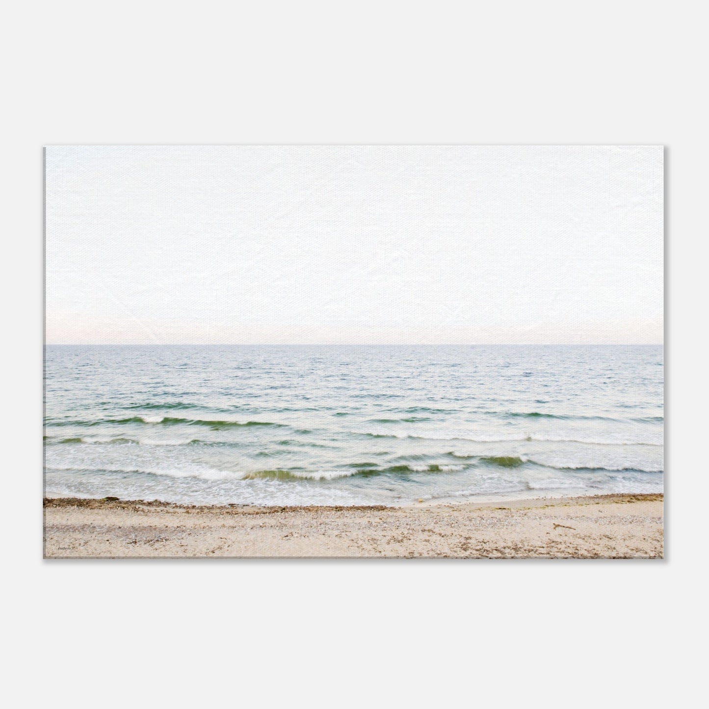 e2668a3e-c965-4507-9107-a21e98436839