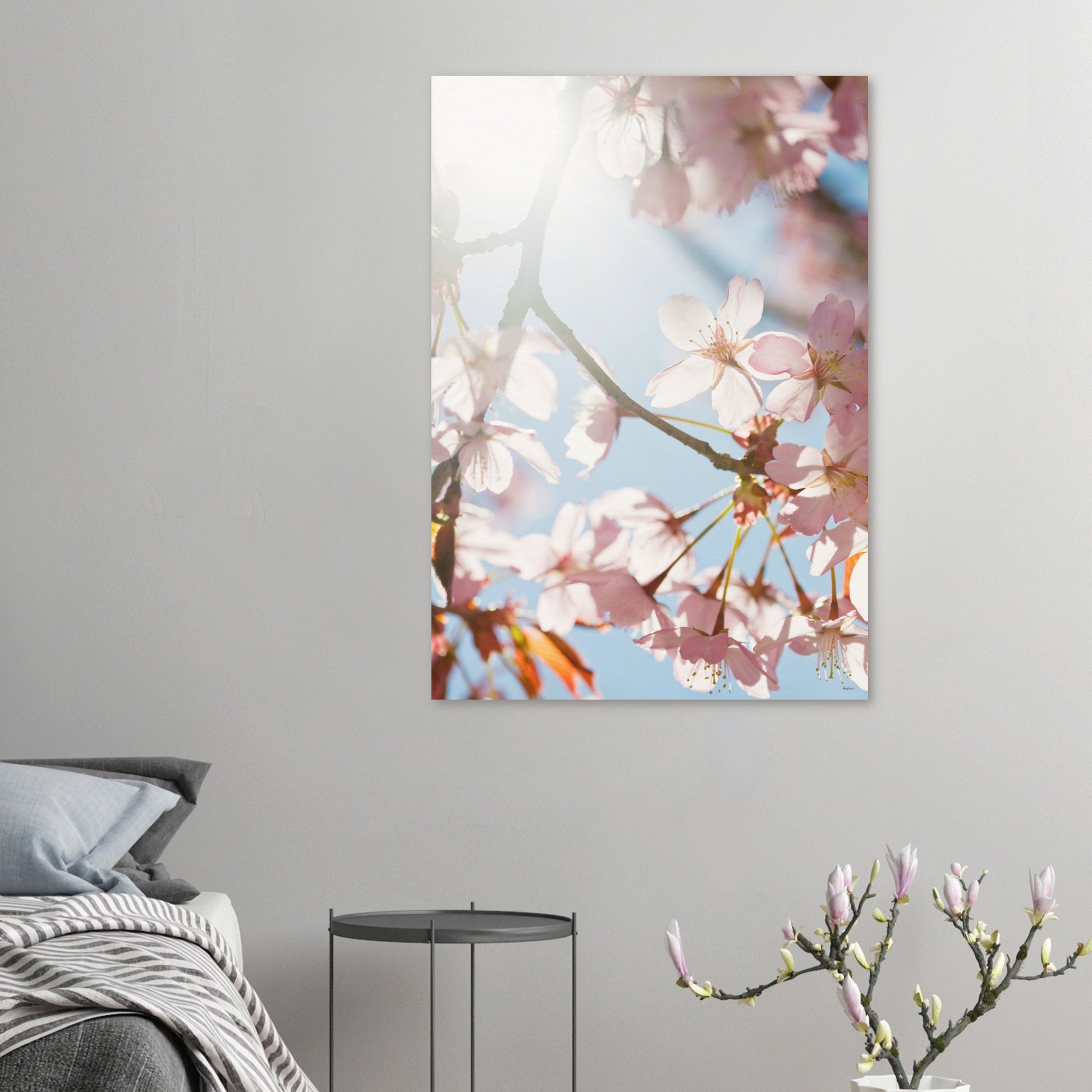 e2c50633-e67c-4f17-b356-6a2d6e8c524b