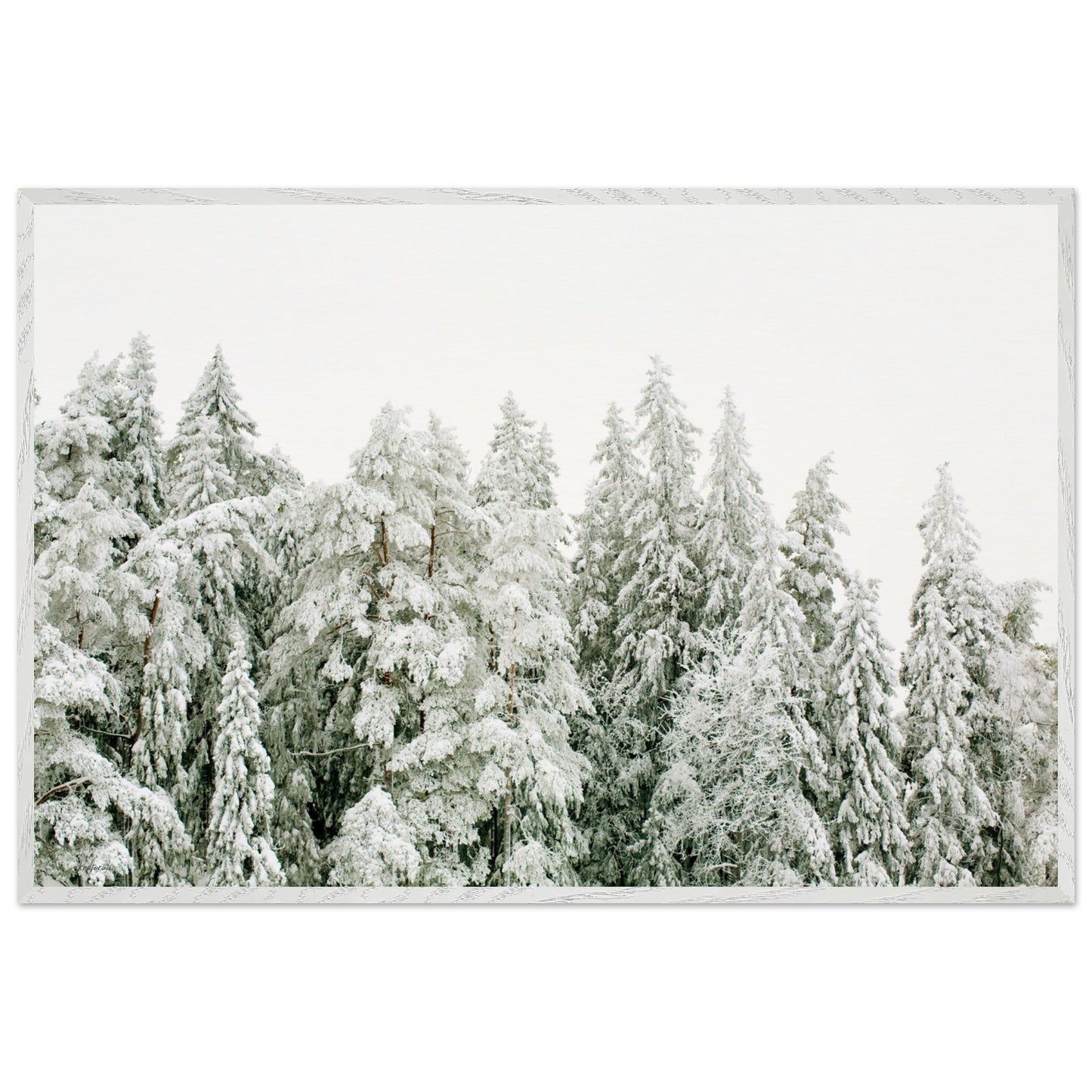 e30b124f-9d3e-498c-b180-d4d1742c34e0