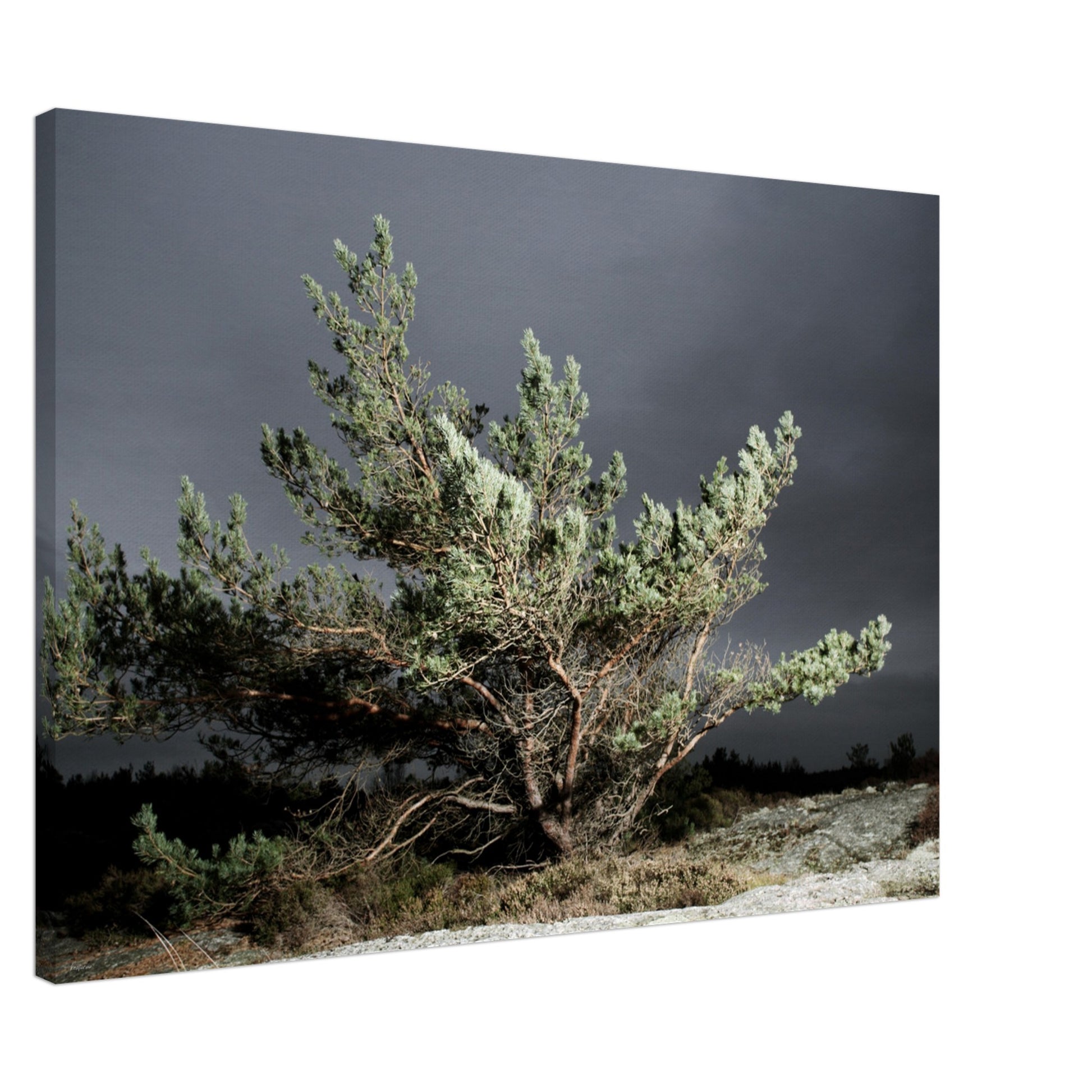 e39a0a5d-fc16-4e45-8903-4bfe8bc900c7