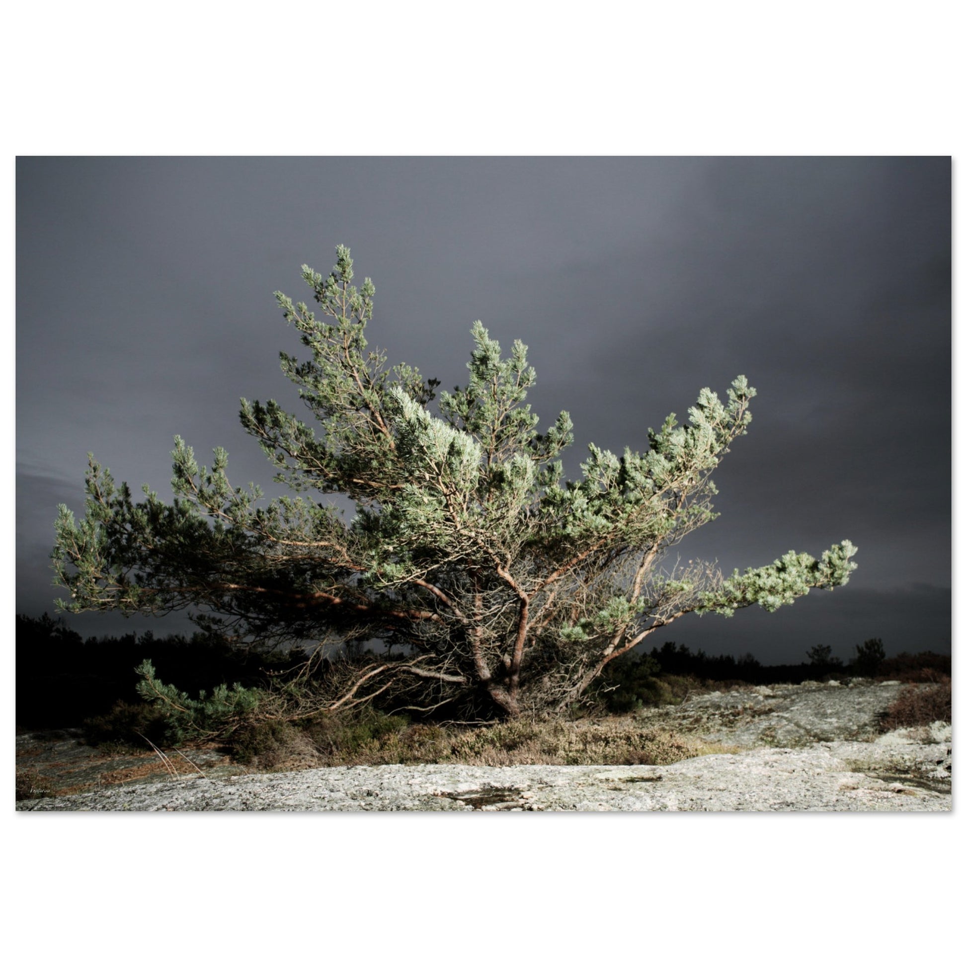 e3ad4c40-cabc-46d3-b2f0-f84b635e95b9