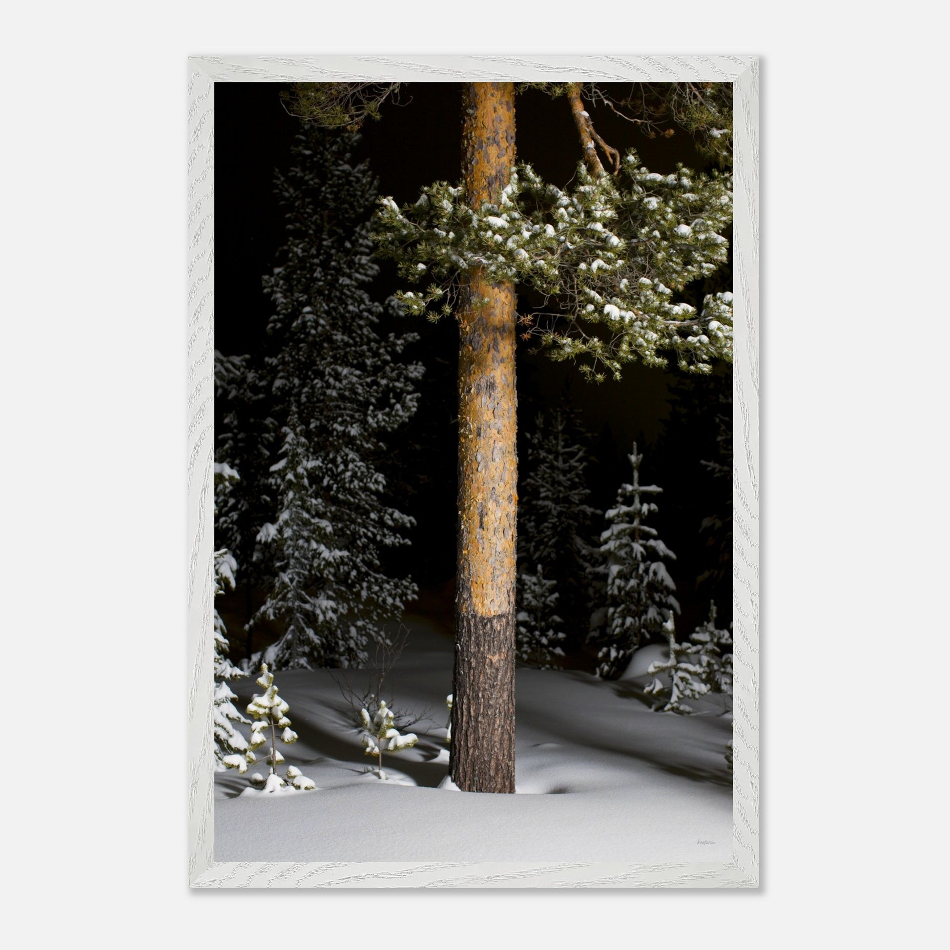 e56b275a-97f6-4c5c-b087-86454440dc06