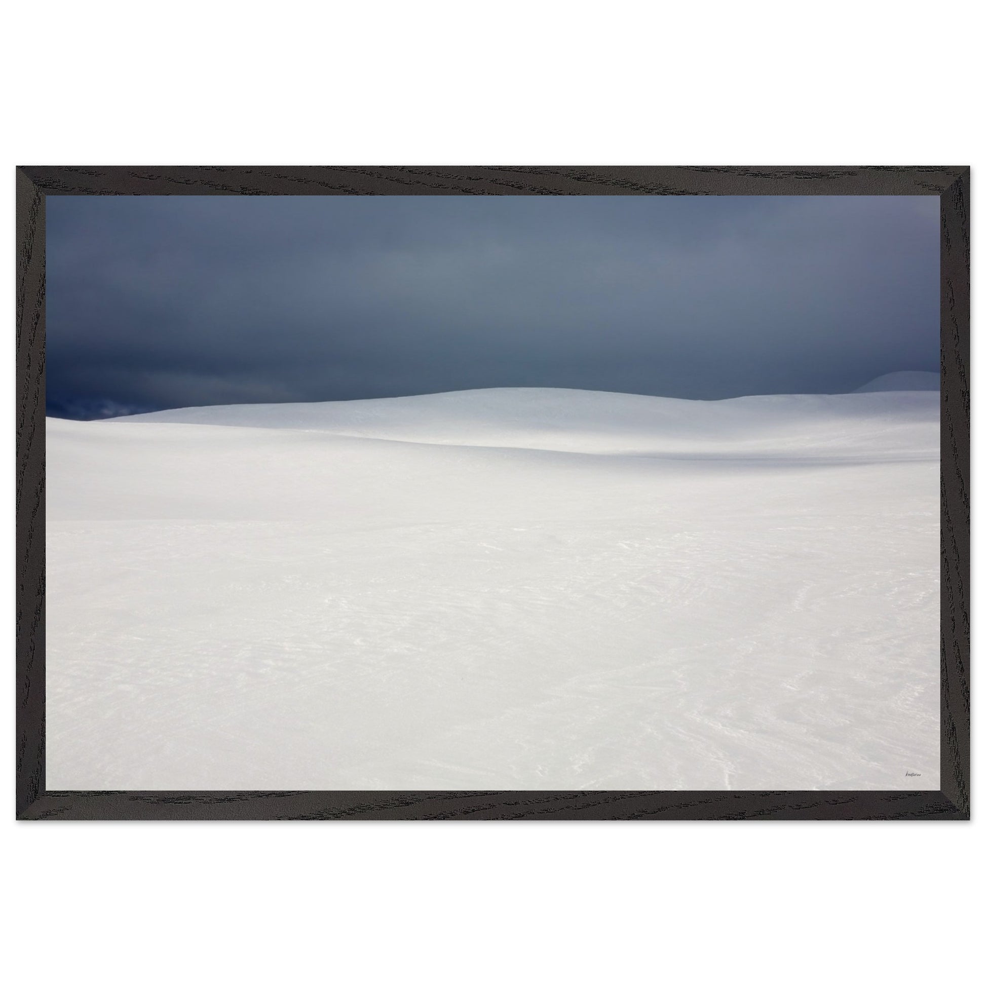 e5f72b1e-86c2-4f45-ae50-9b856795ba3a