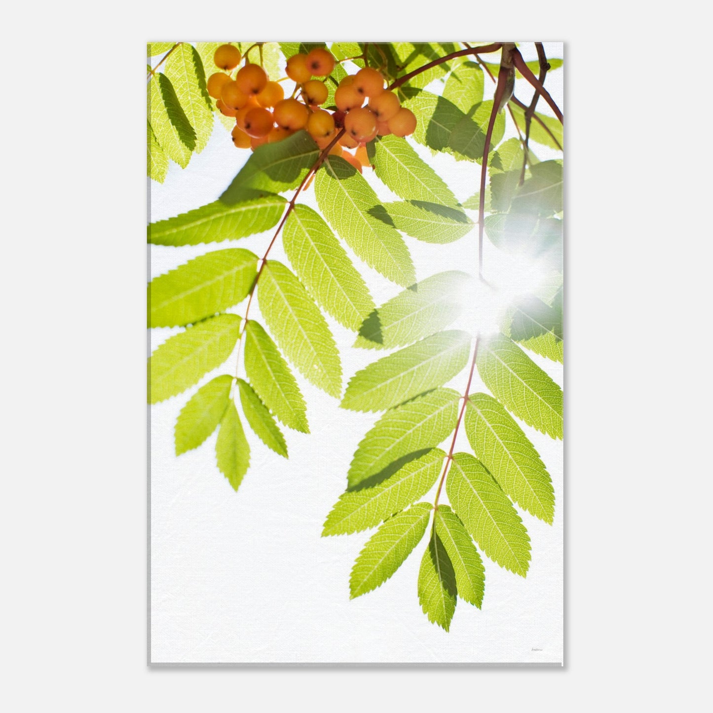 e86648dd-9dd0-4951-9326-2a62a57ce480