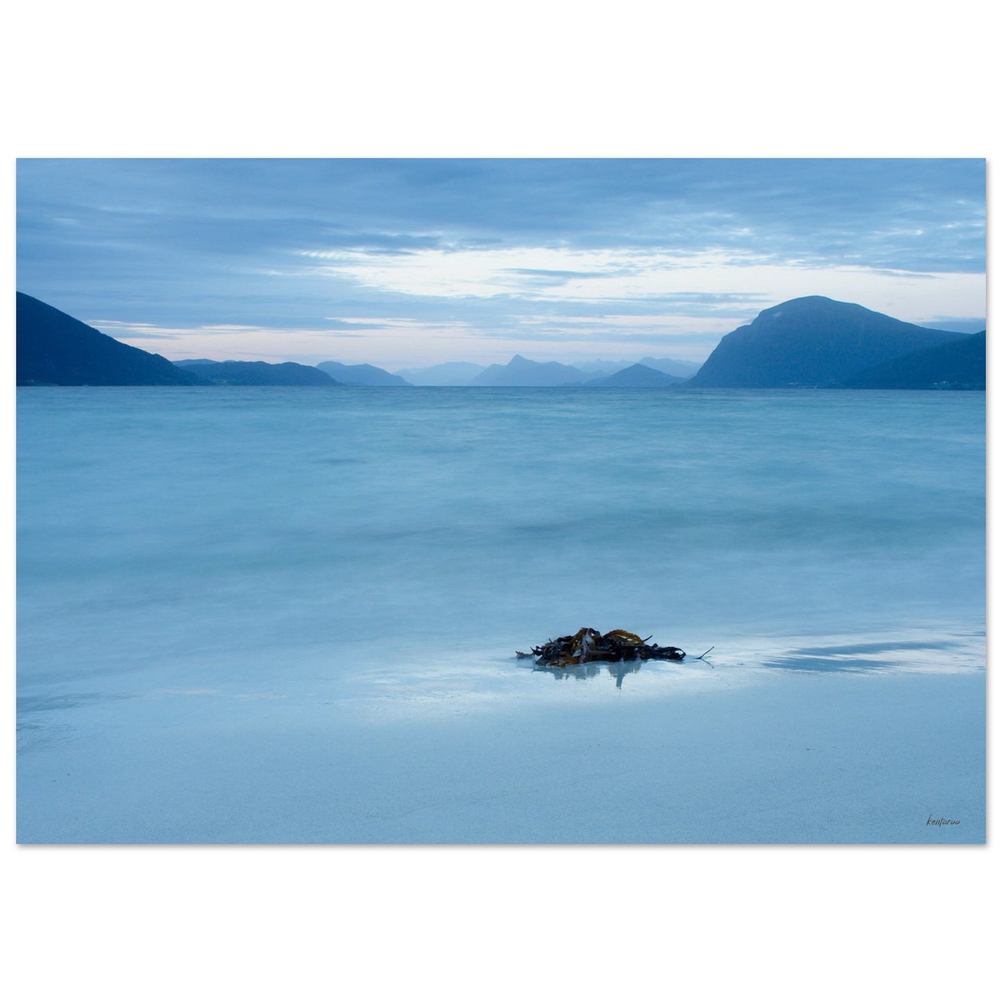 e8dc8cf0-af3d-47b9-b049-9d764779aff8