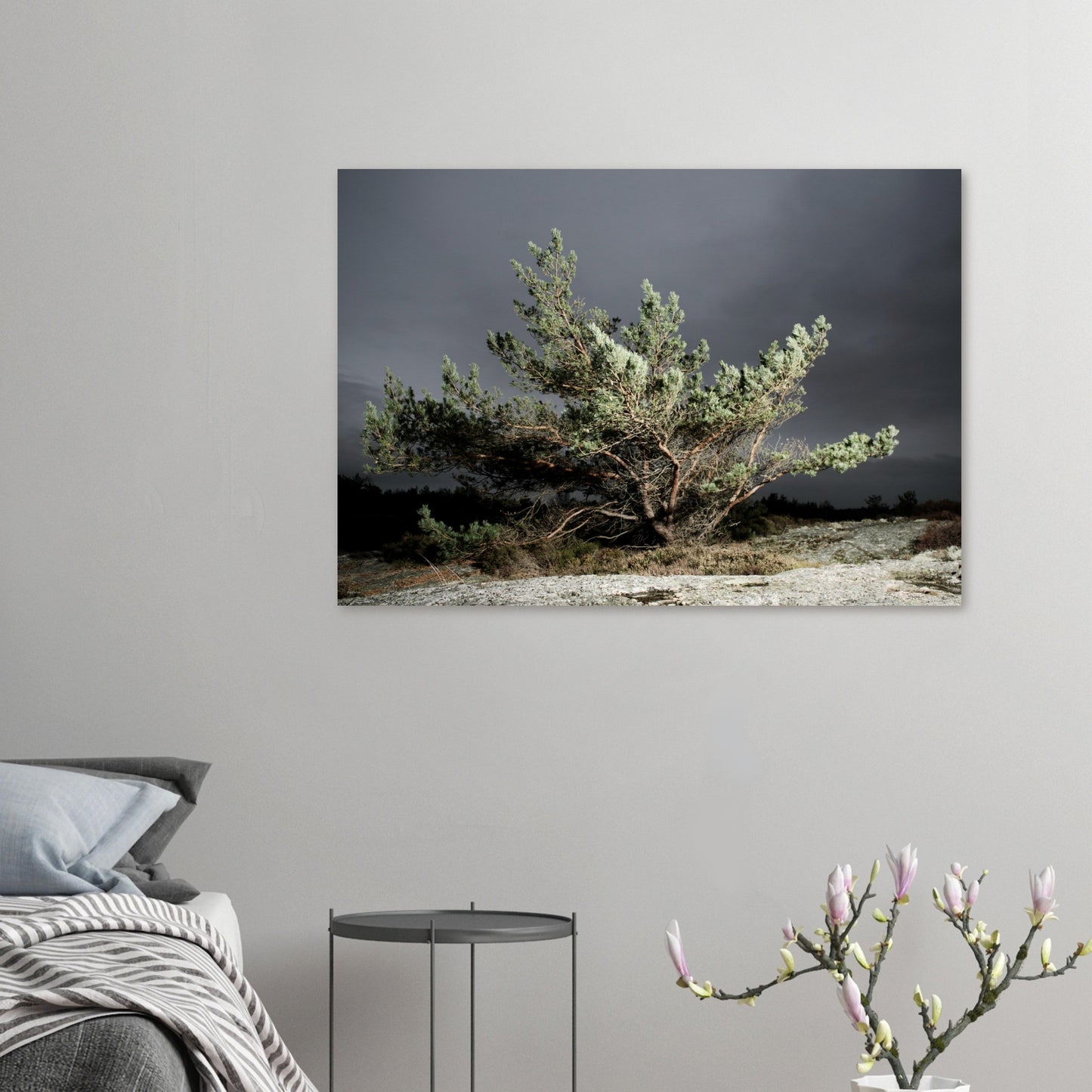 e9e744c3-774e-45c6-86bd-49a00e529c0c