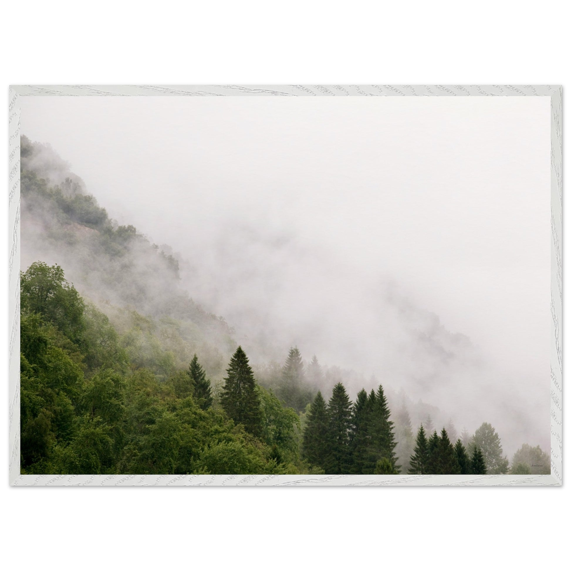 ebe47750-a801-4db3-a950-f494d67c8db2