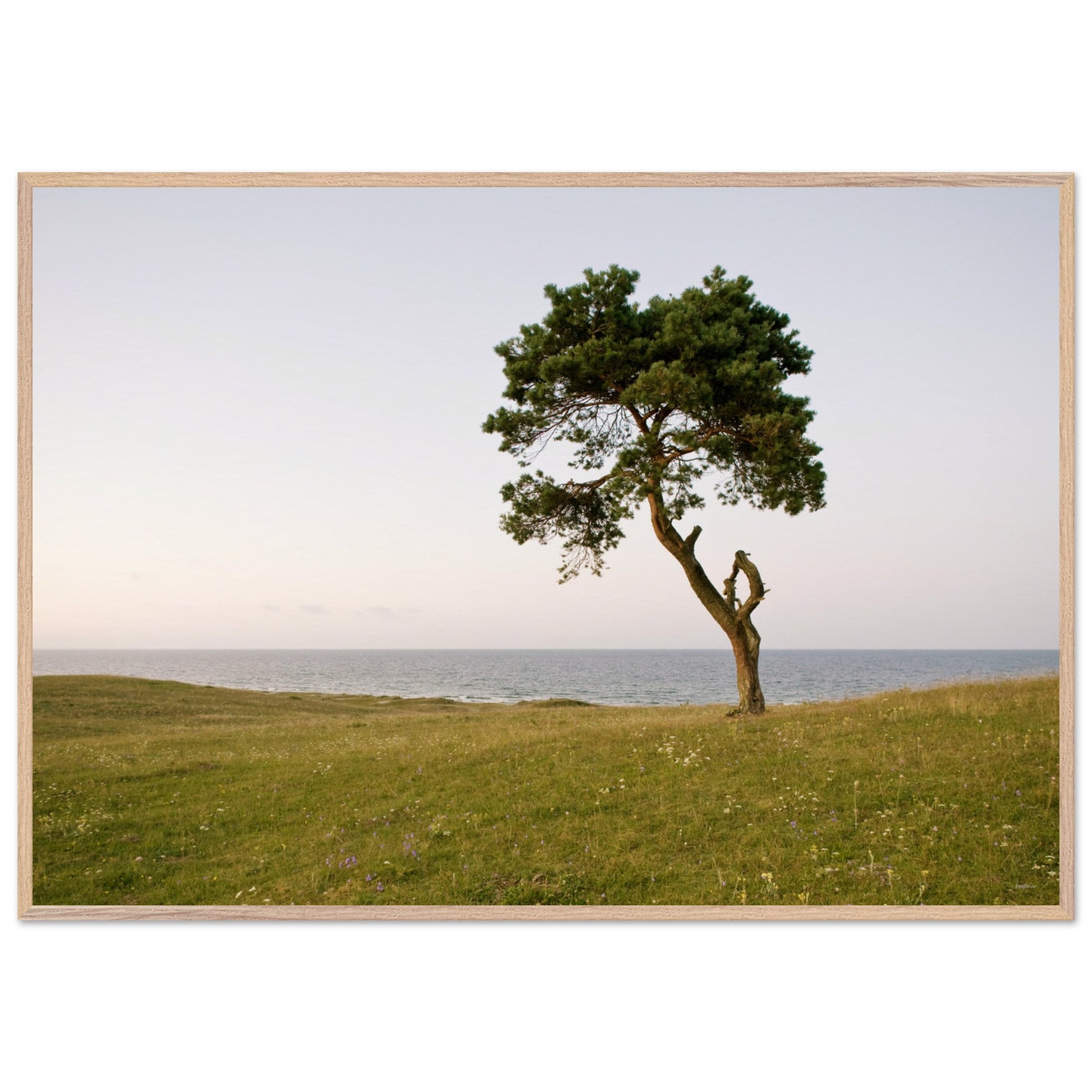 ec15d9dd-7cb0-4cd0-901e-26de5af69cde