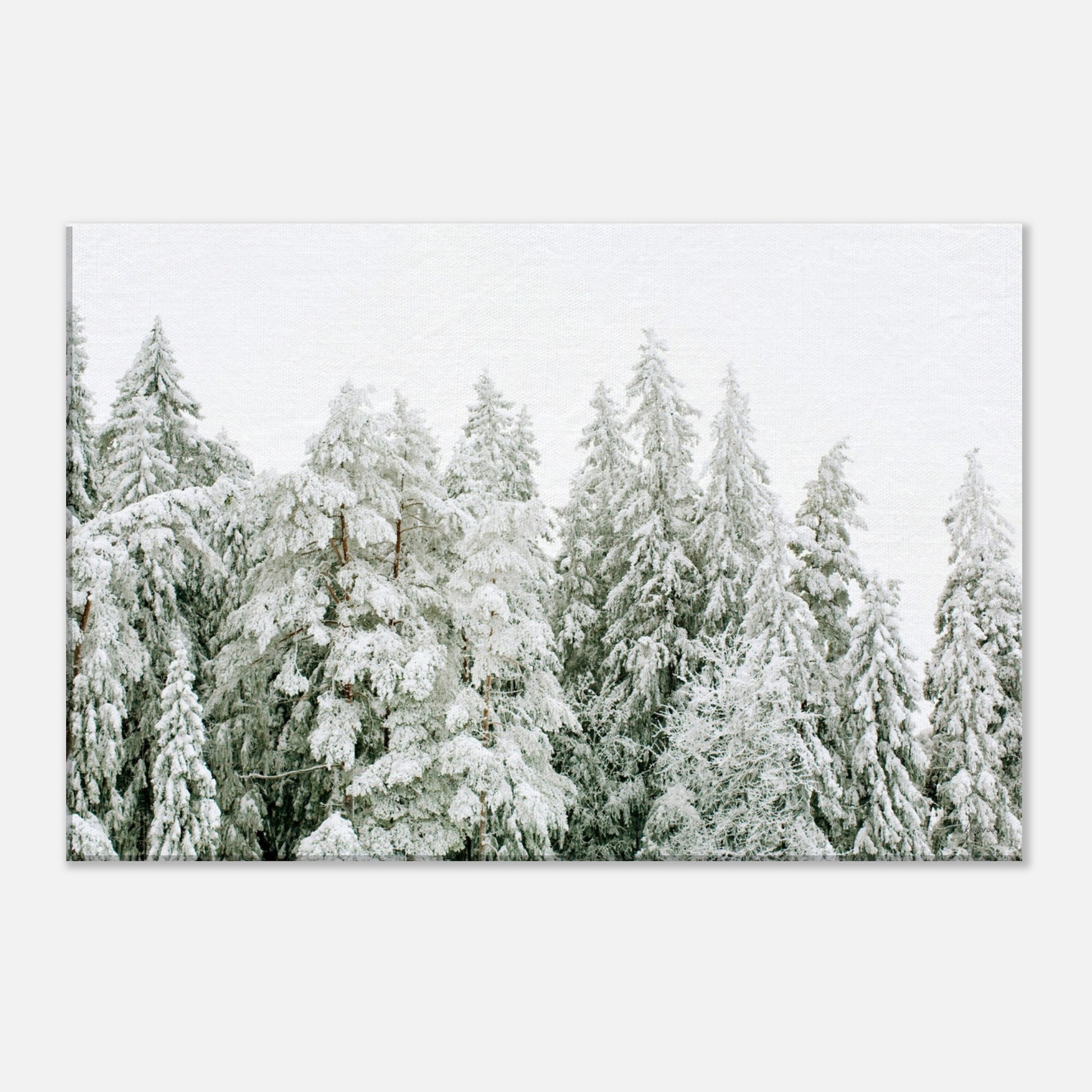 ec712c32-fe5d-4c3c-8da6-971fbf0d23ba