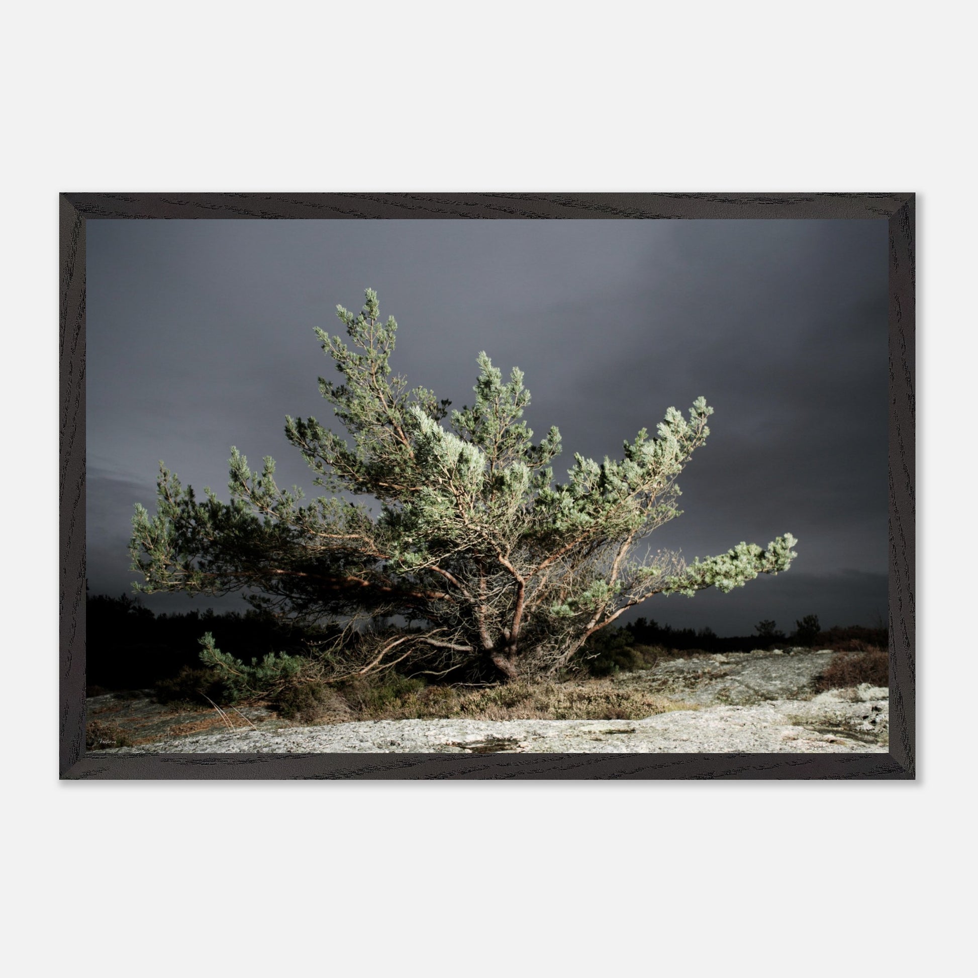 ecaddc76-f77f-4517-b37f-57f1f9b1b4e6