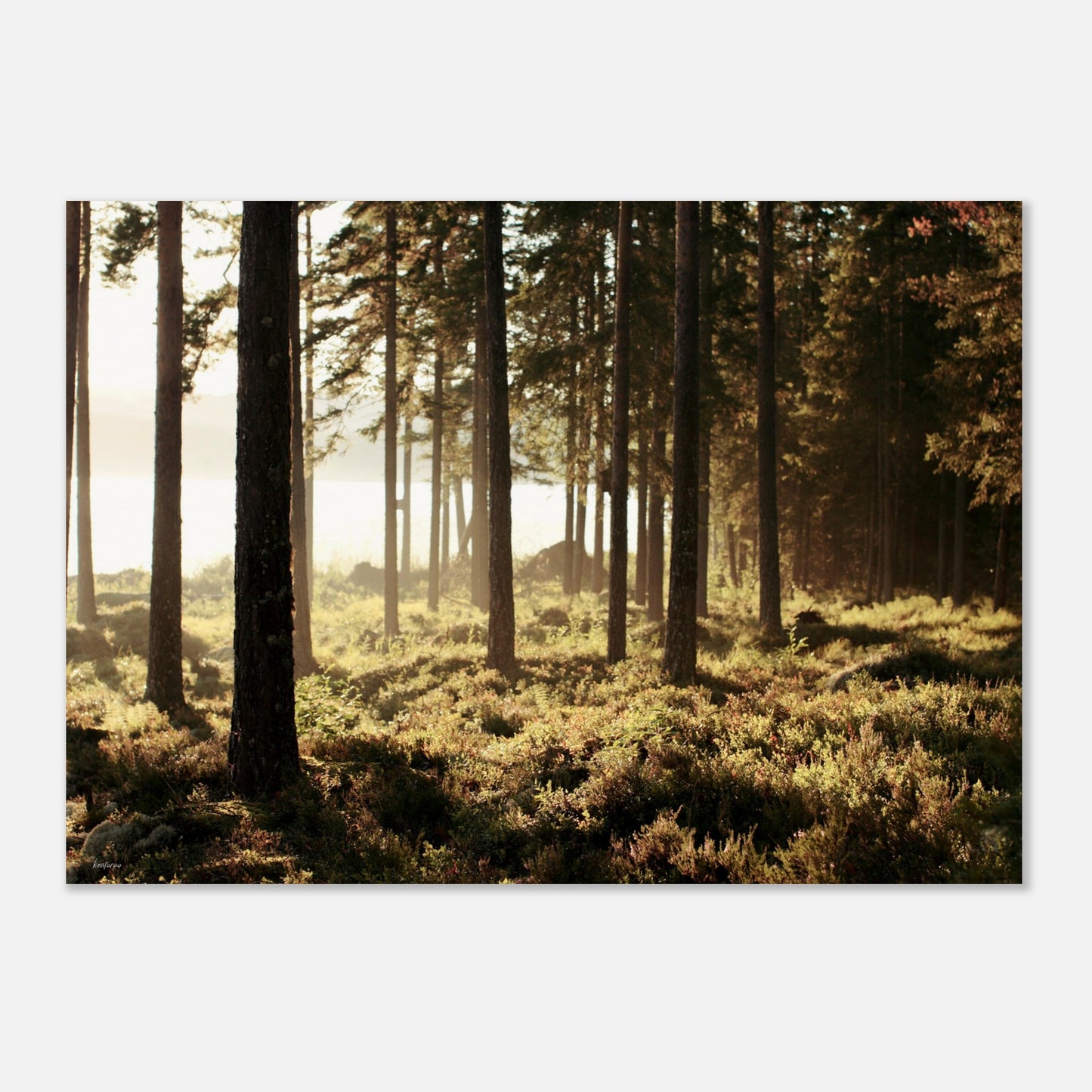 ed2d9c3e-70c9-4f6d-9d93-bf55fcdd2c47