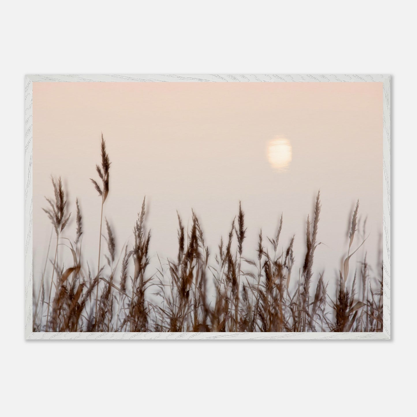 ed9c8e1c-1446-4cad-bd50-fcf3f086a3b2