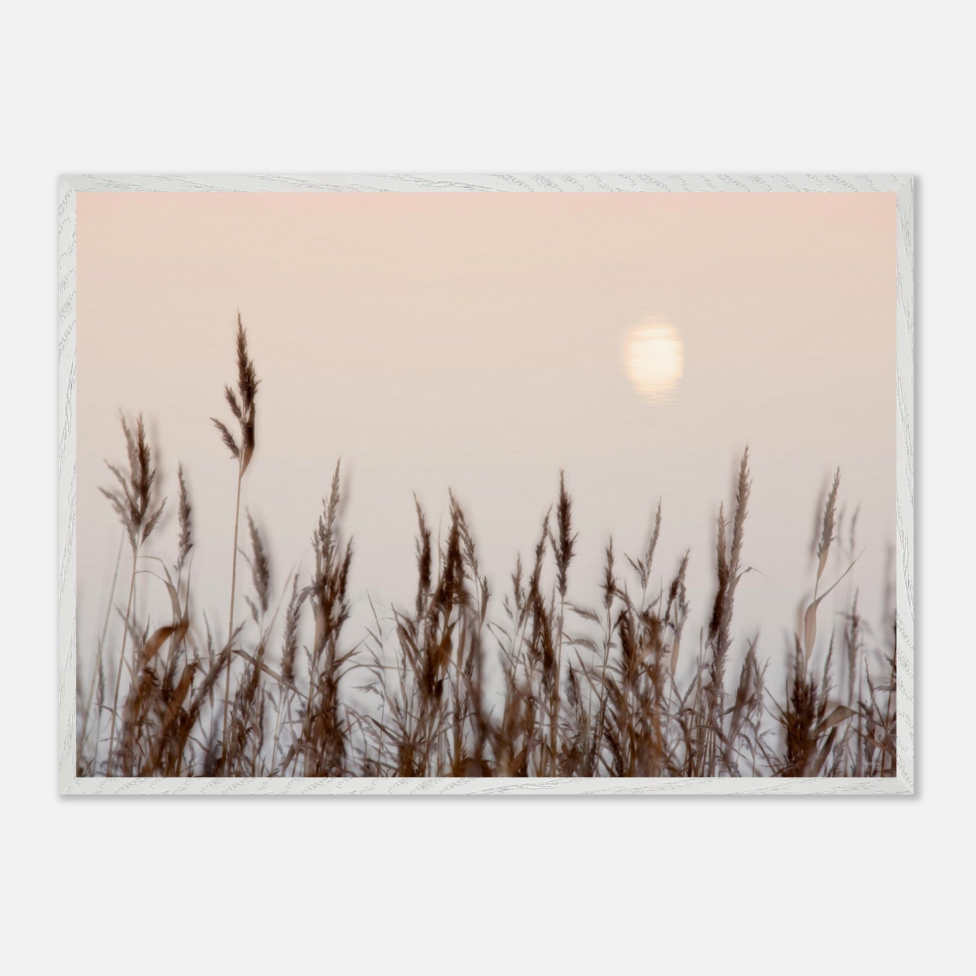 ed9c8e1c-1446-4cad-bd50-fcf3f086a3b2