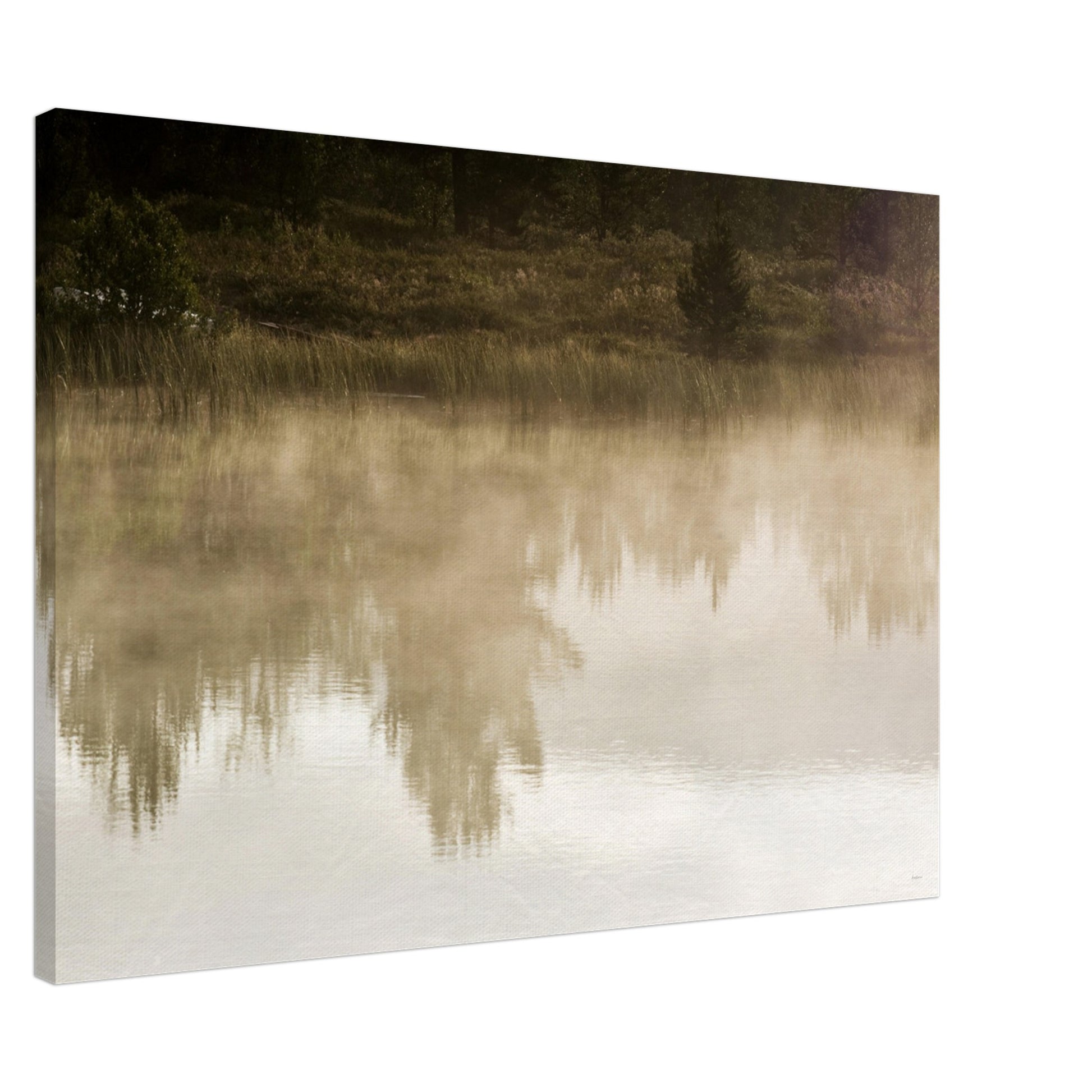 ee2a31a5-5e88-4487-87a5-eca06bcb9bd2