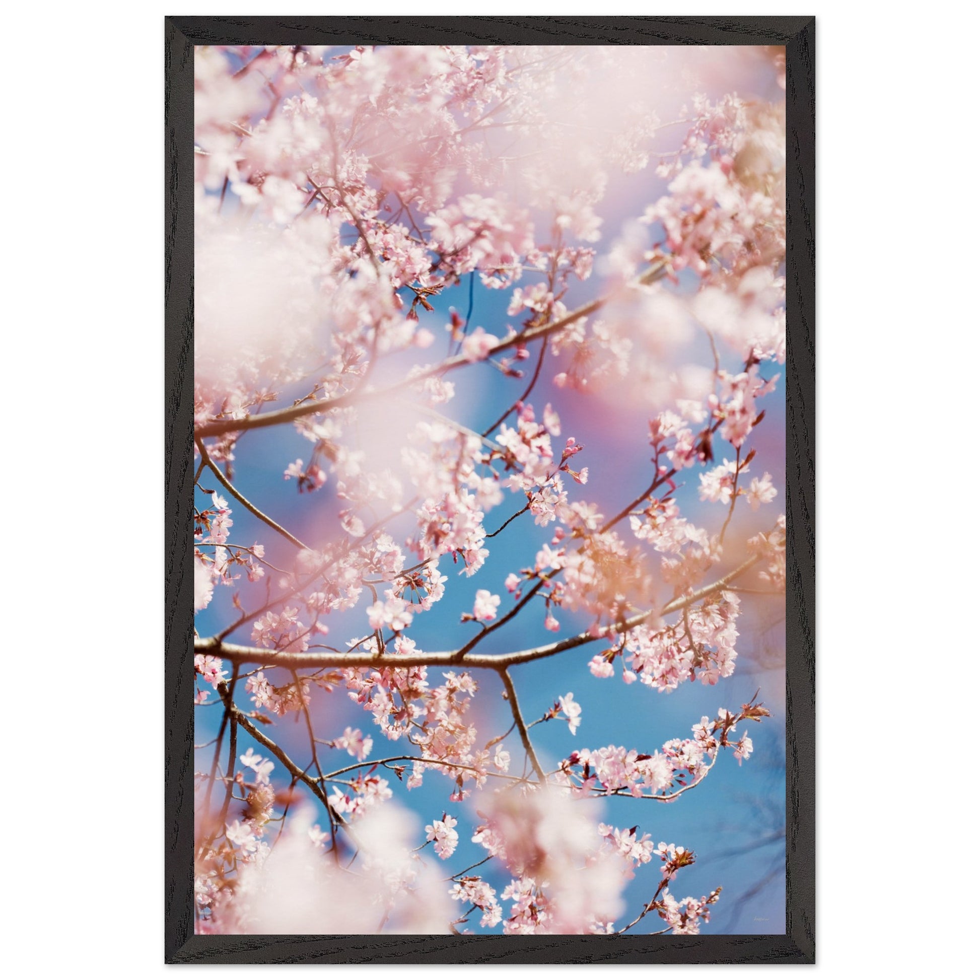 ef93232f-bdbf-491e-890c-c73acc75bd36