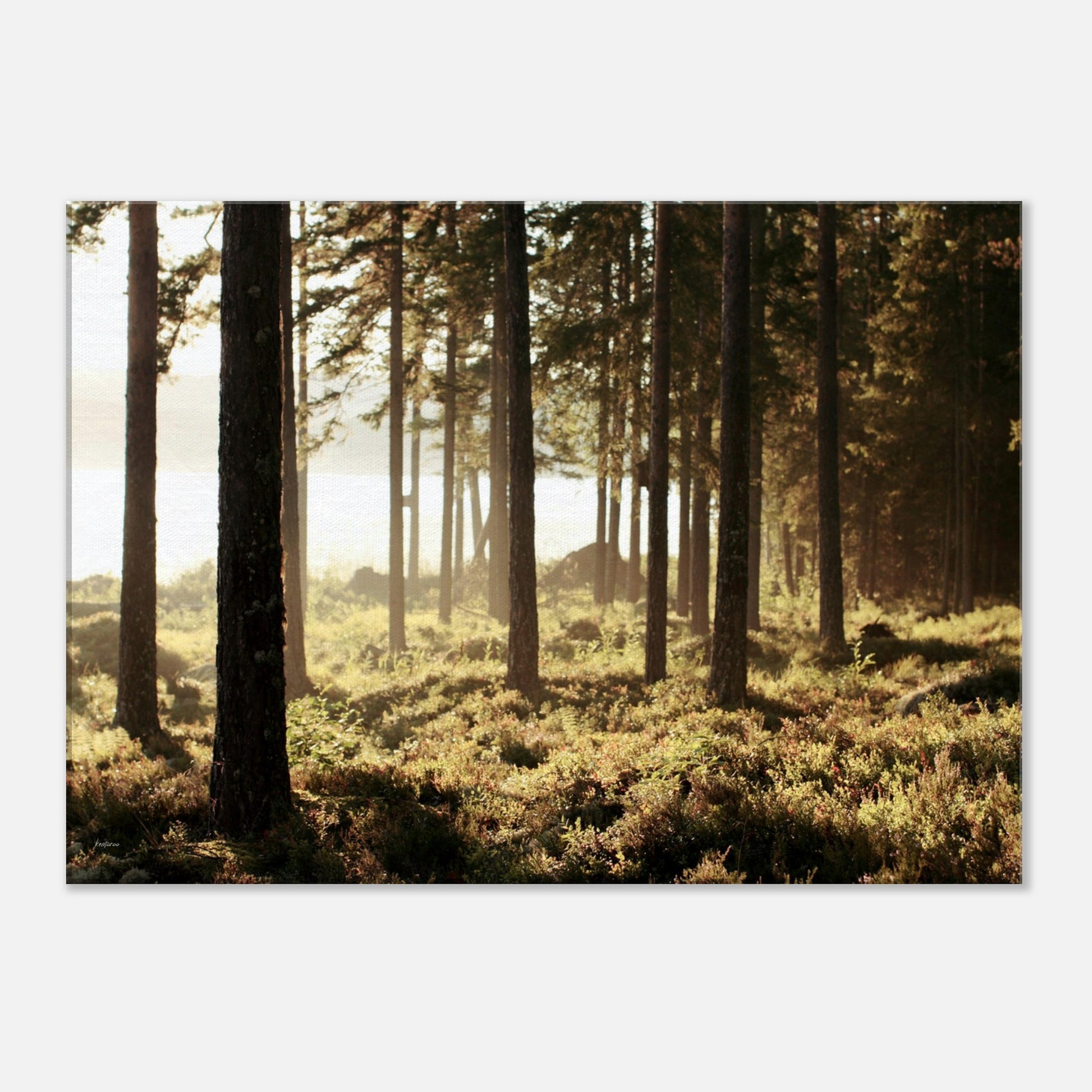 f2d8a92d-3c81-47bb-8d4a-faaadfac582a