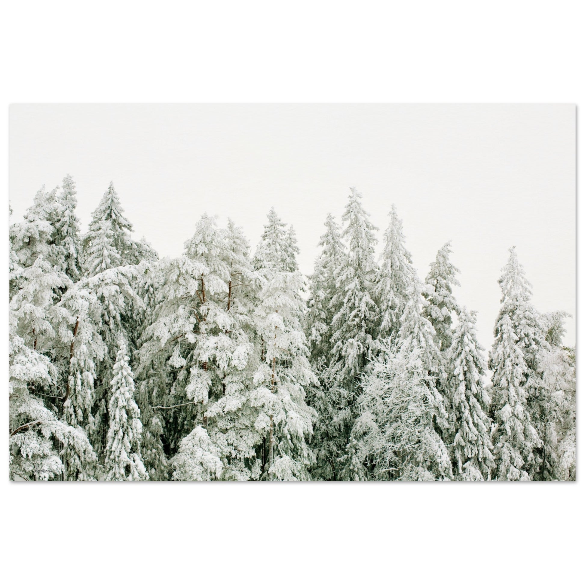 f31817e0-f5aa-4828-a620-553fd63544af