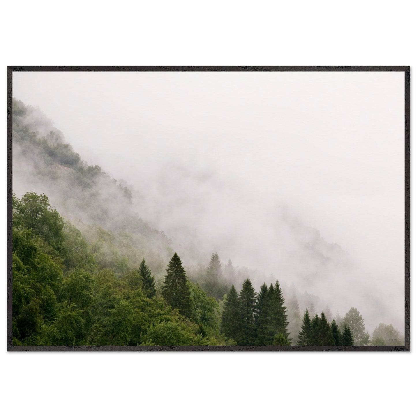 f34e6a9d-5e9d-4539-86b1-66eda9212619