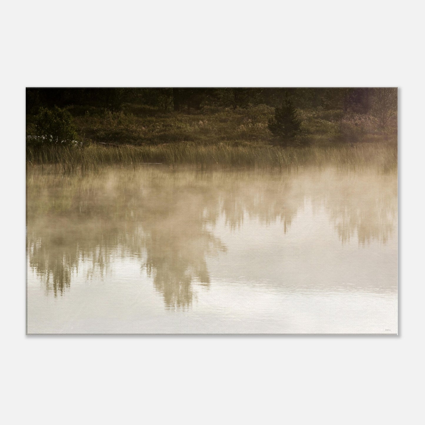 f8498238-ba01-45c9-8c5b-4689f176e398