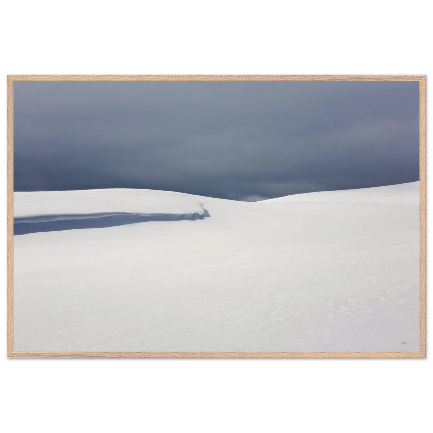 f8db25b5-0741-4587-9550-c5c1eb13d777