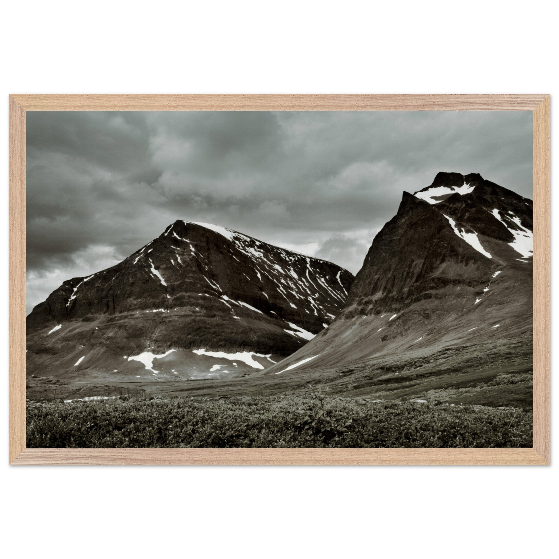 f8f71ded-4843-4ab5-a71c-8bd1ecaabc8e