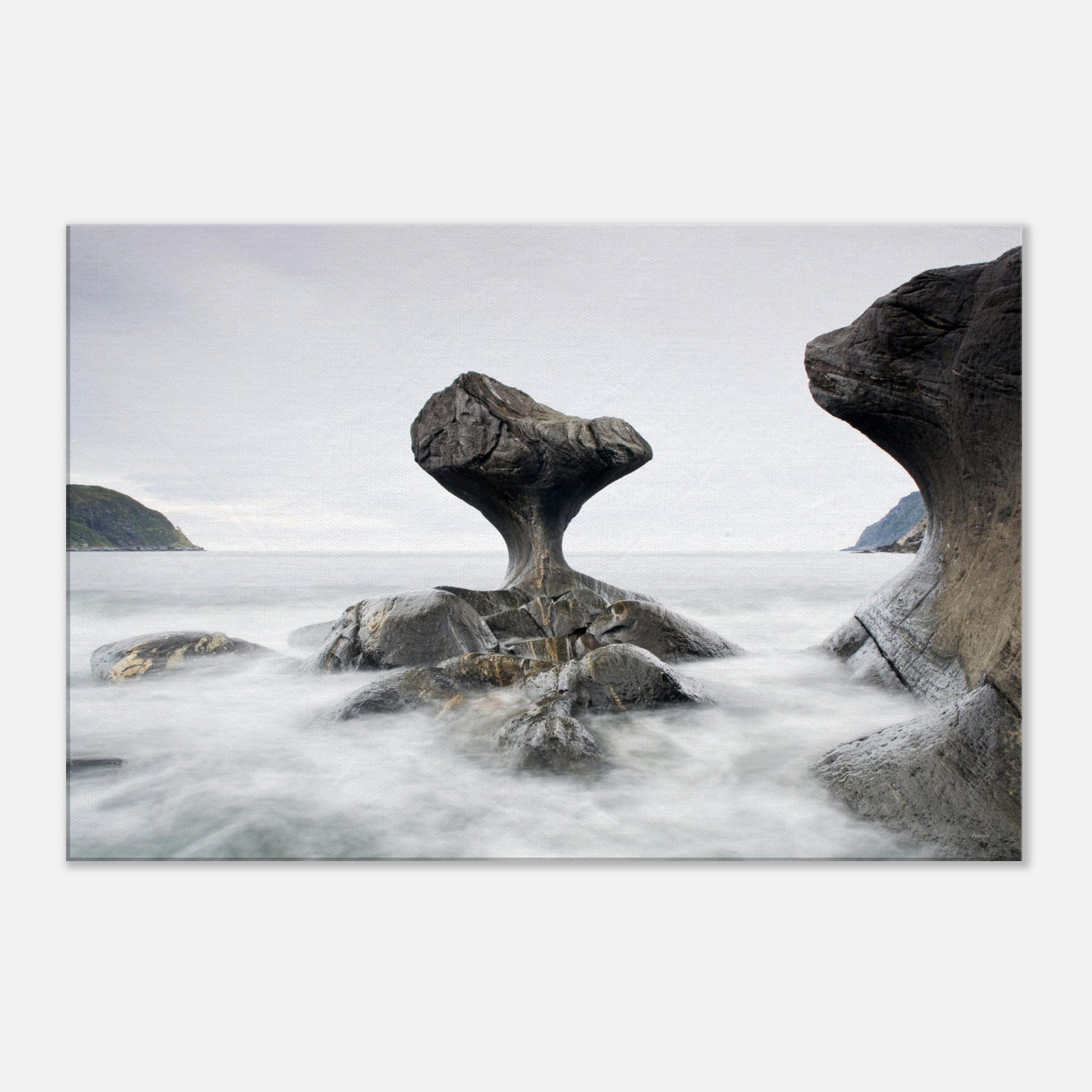 fbb5238c-1a78-4432-baaa-56c8af779290