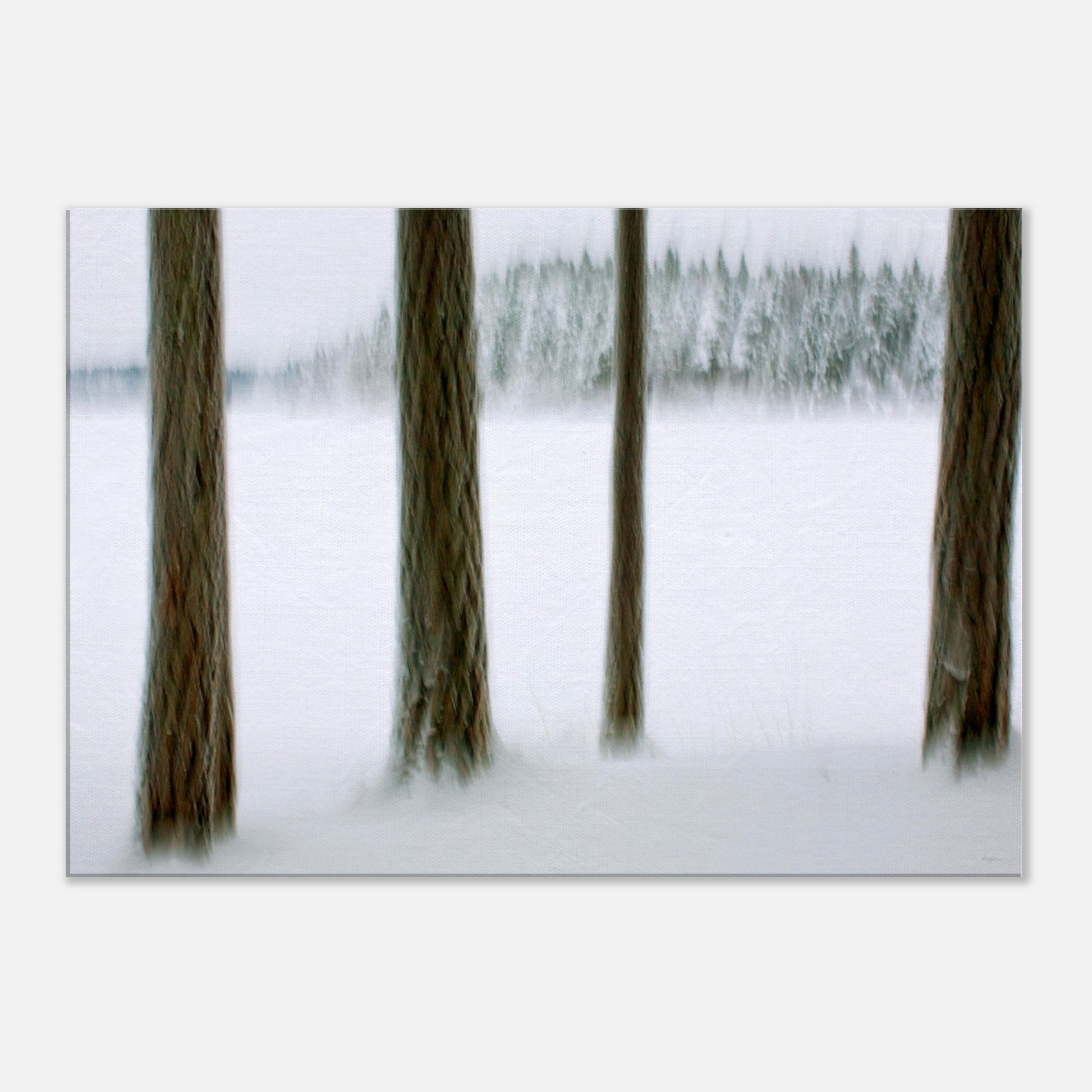 fbcb8e7f-dfbd-4c89-a18c-8127ed5f5df3