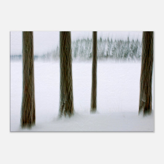 fbcb8e7f-dfbd-4c89-a18c-8127ed5f5df3