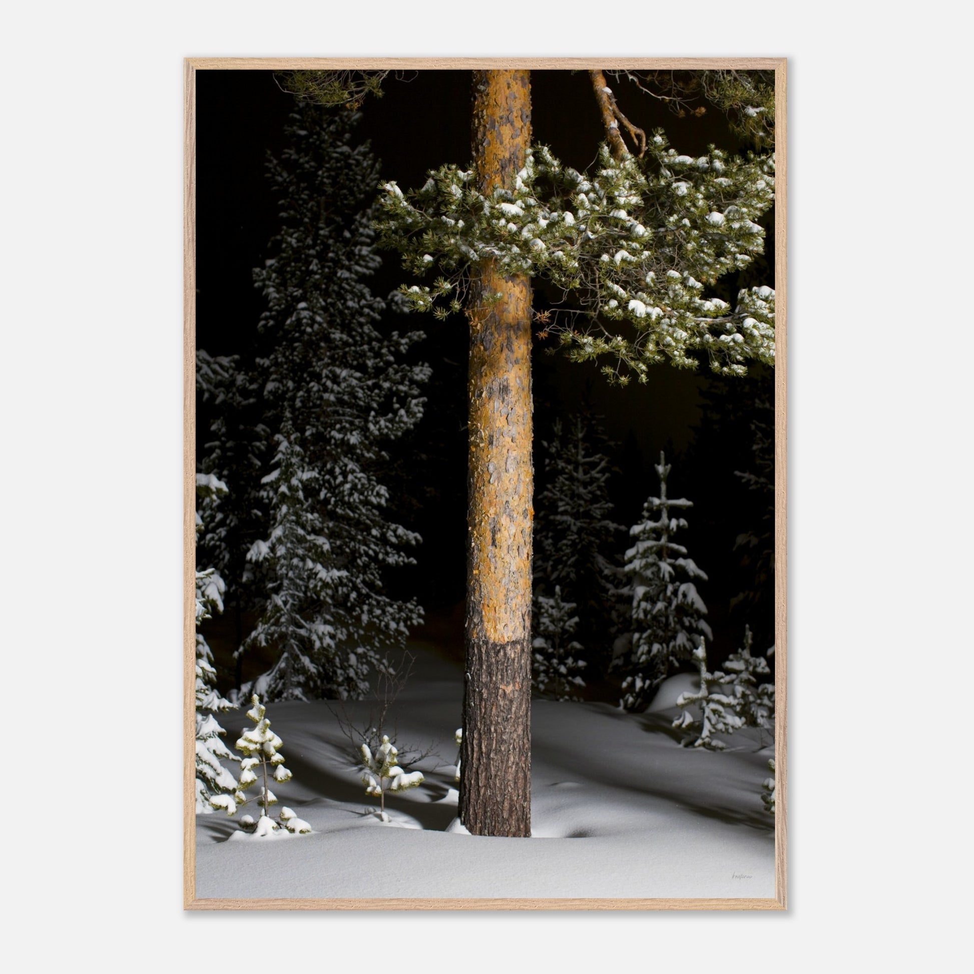 fc81349f-30eb-43e3-a1c6-aa32dfe38c1d