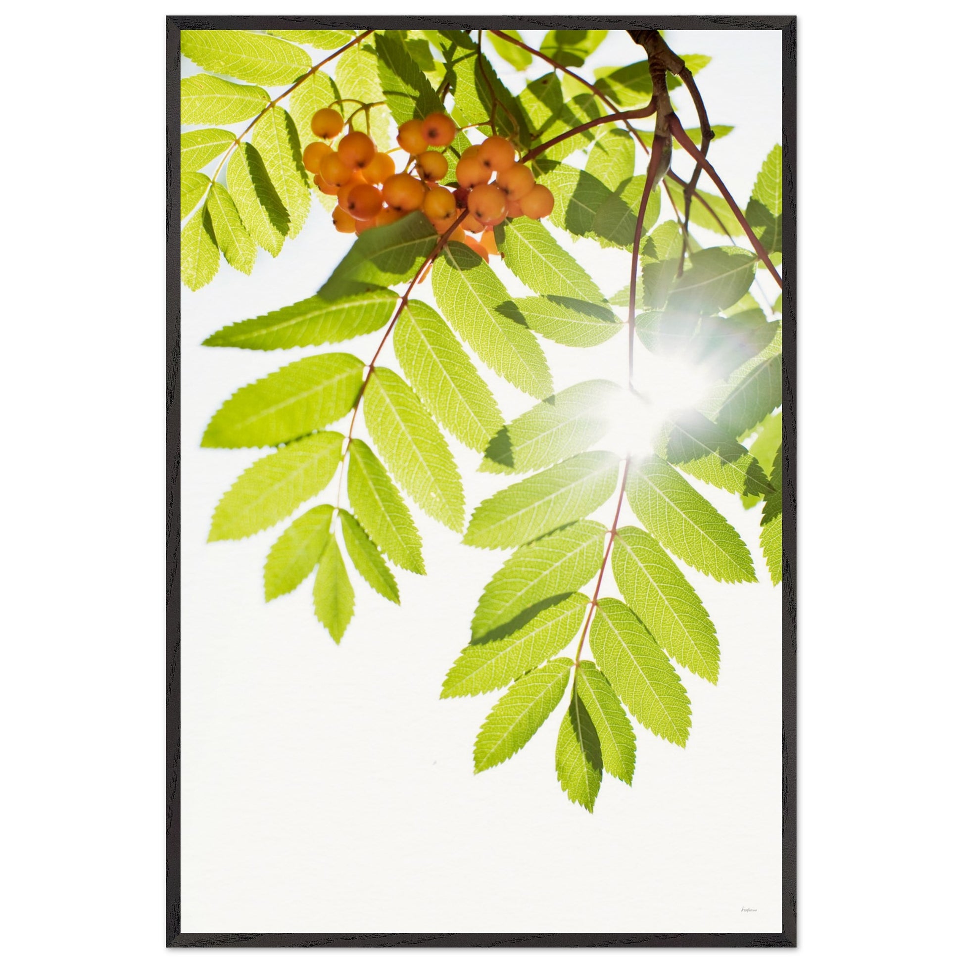 fd9a17df-9269-4107-9b37-37314245a9d4