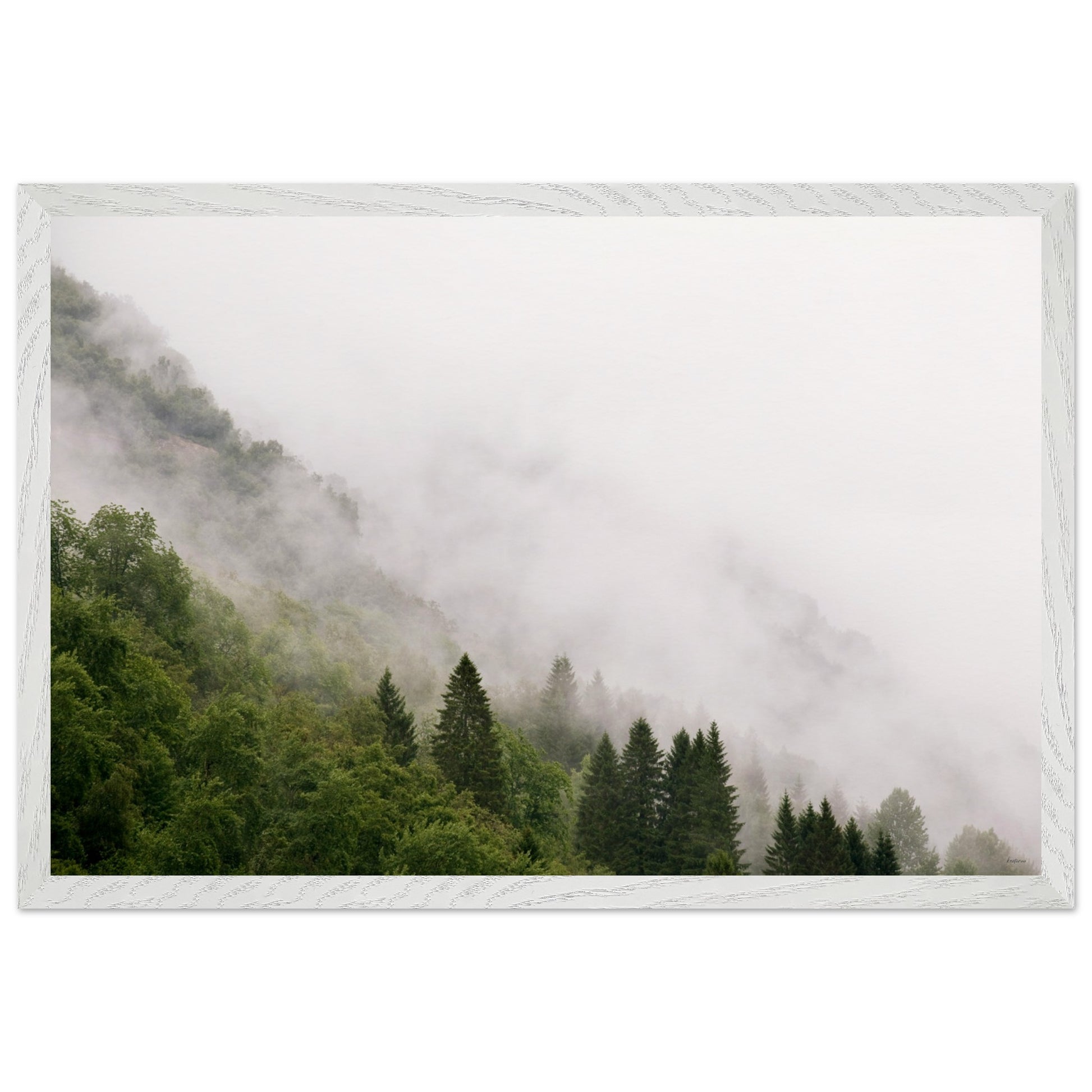 fdb273cb-2b1f-4d21-a497-ed308306df33