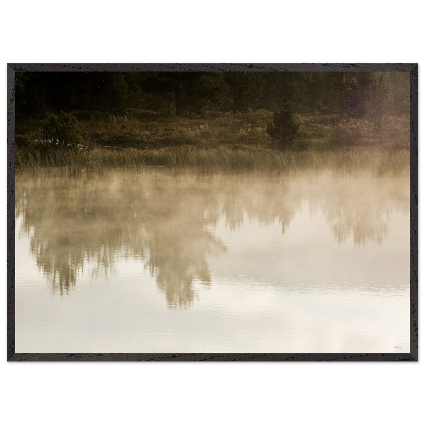 fe2b5741-6331-4244-a0b7-f833d30b7e1f