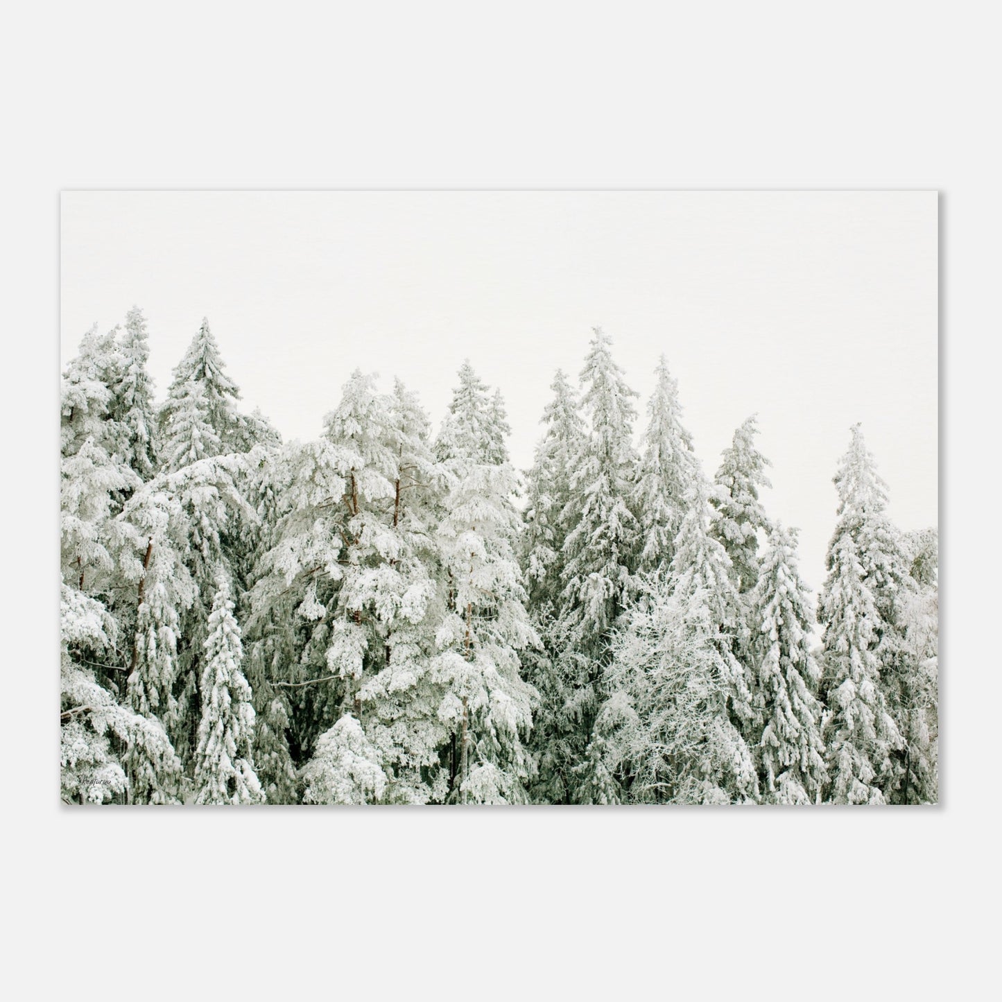 fe2de941-3f5c-4c31-bef9-9a34200ebb72