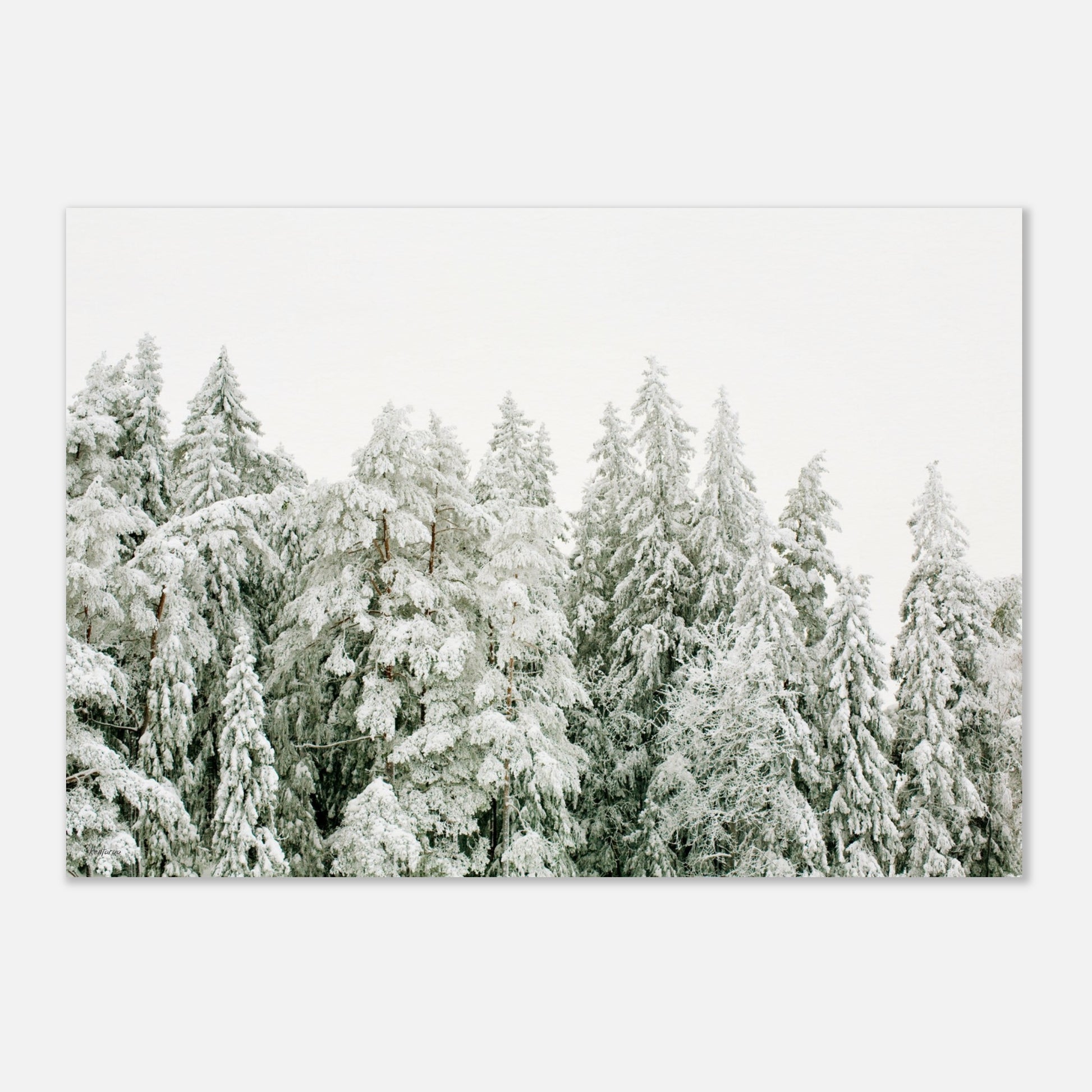 fe2de941-3f5c-4c31-bef9-9a34200ebb72