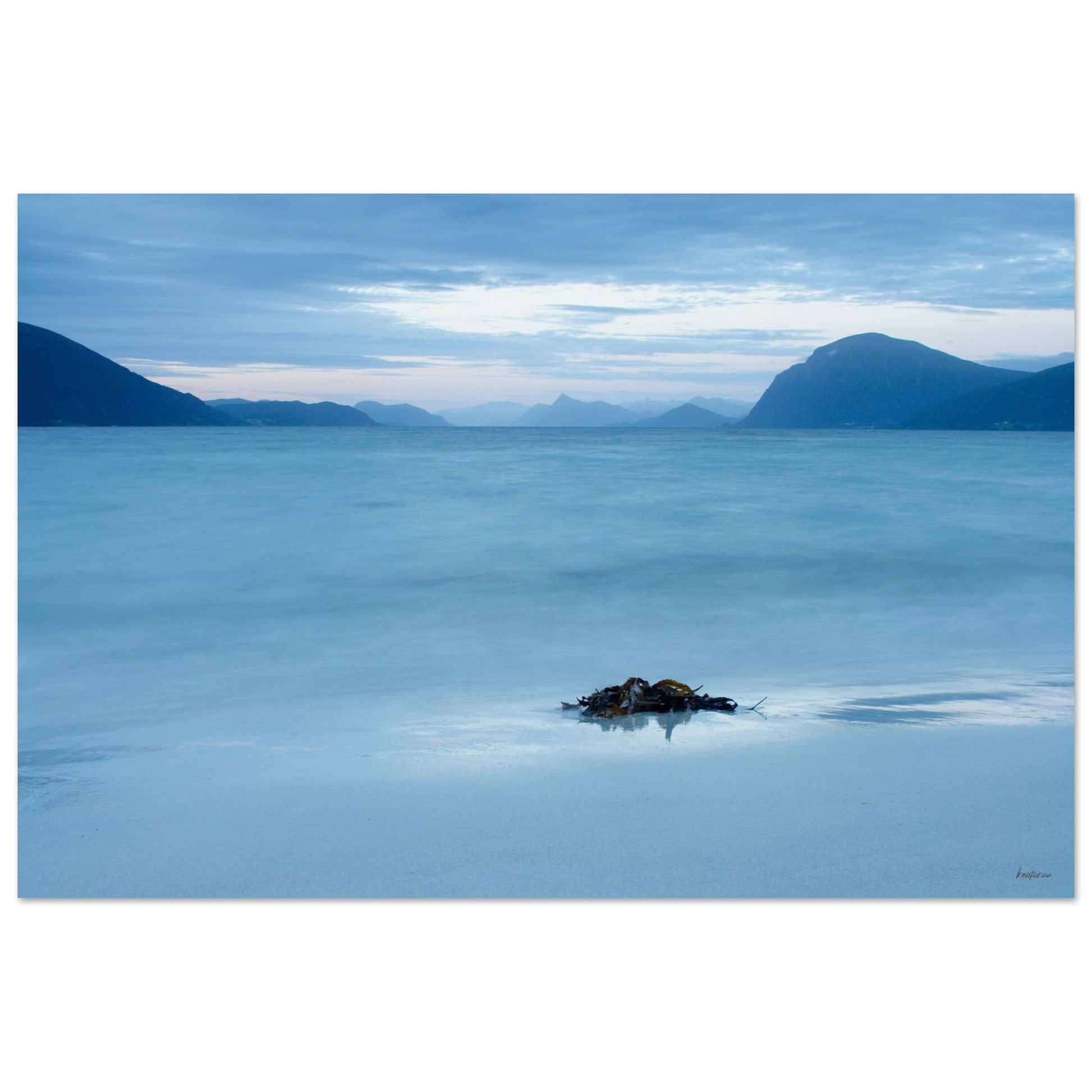 ff04b06f-14f8-46b7-95fb-423fdf599387